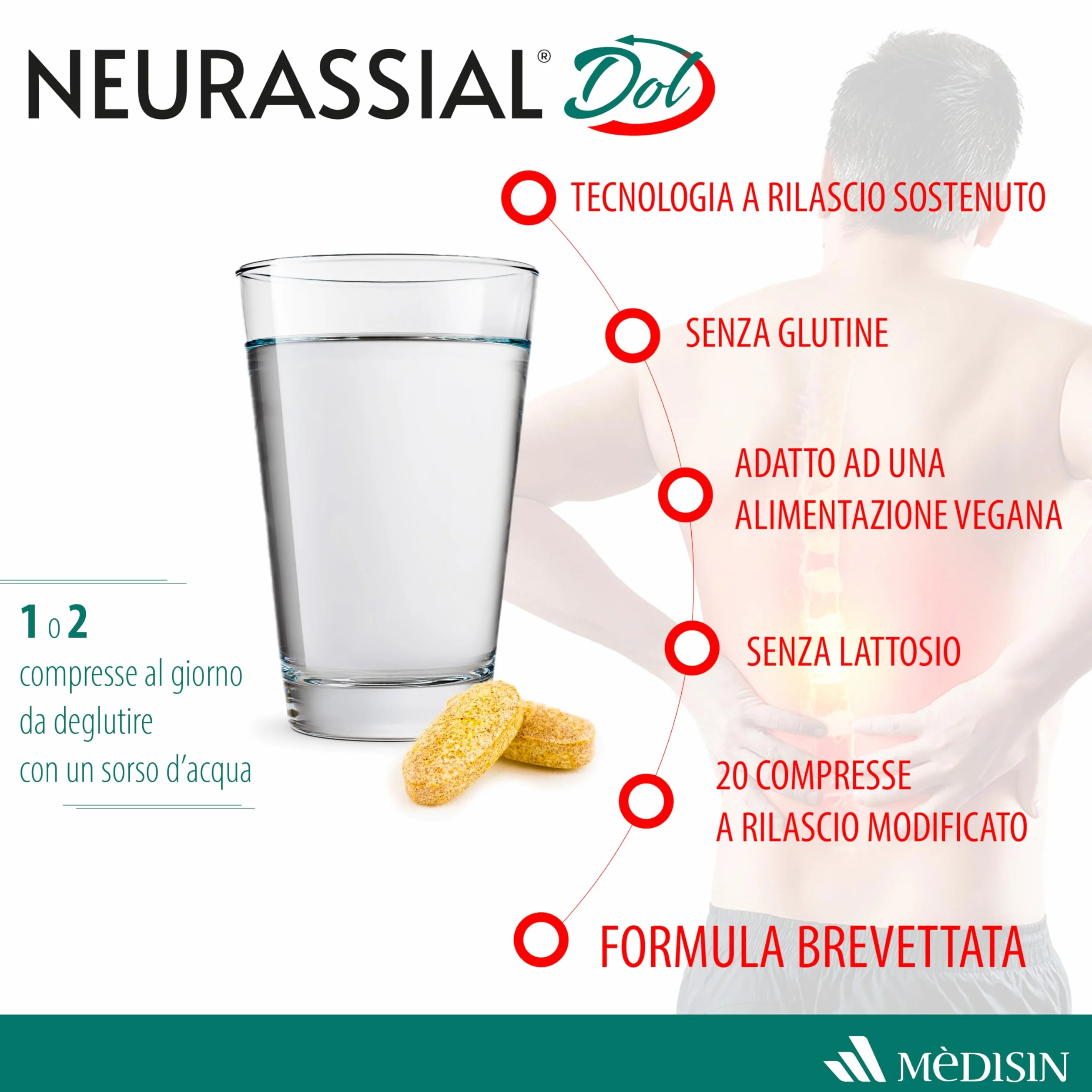 NEURASSIAL DOL Integratore alimentare Acido Alfa Lipoico L-acetilcarnitina Zenzero Acmella Vitamina E Vitamina B6 20 Compresse