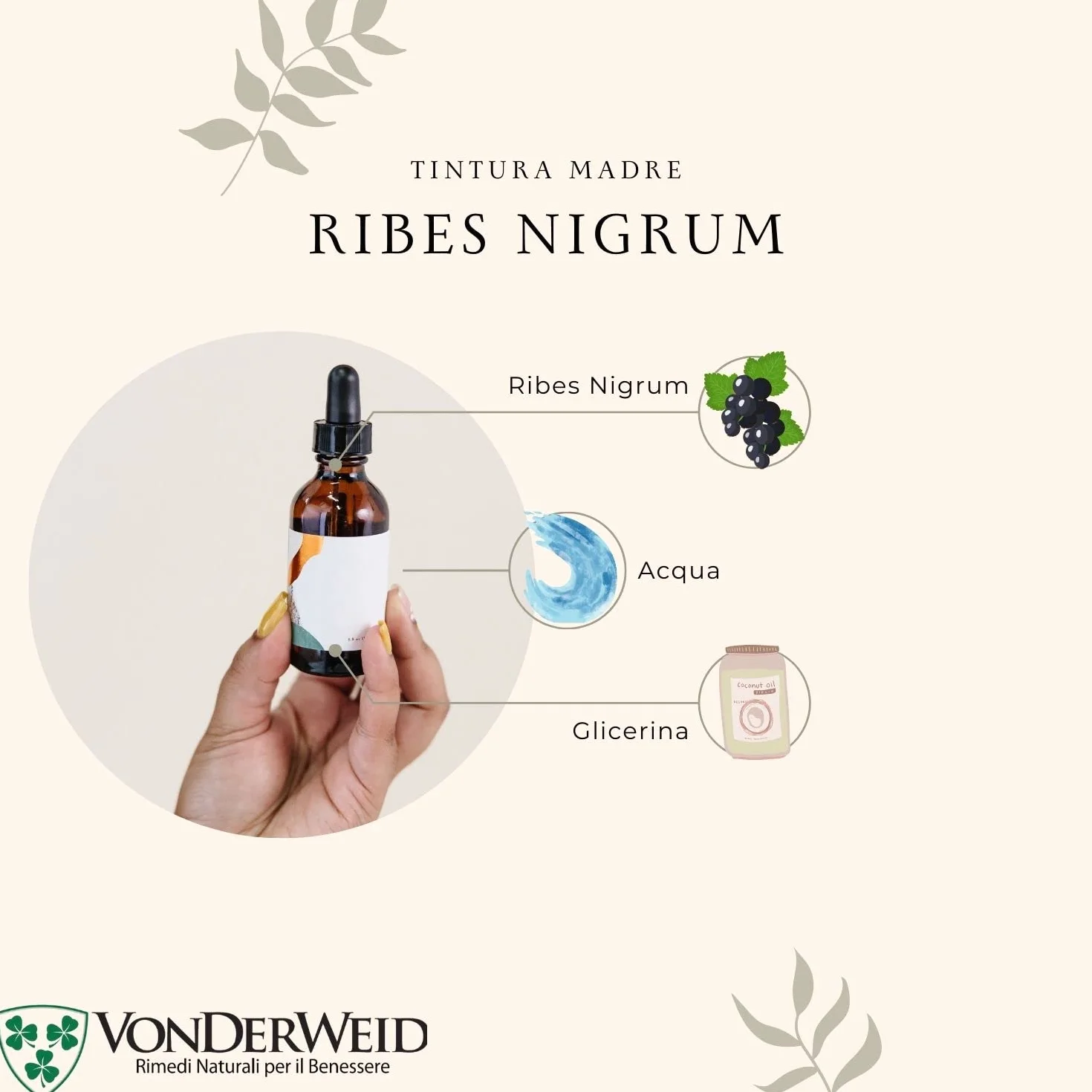 Ribes Nigrum Tintura Madre Analcolica Estratto Glicerico Integratore Ribes Nero Gocce 100 ml