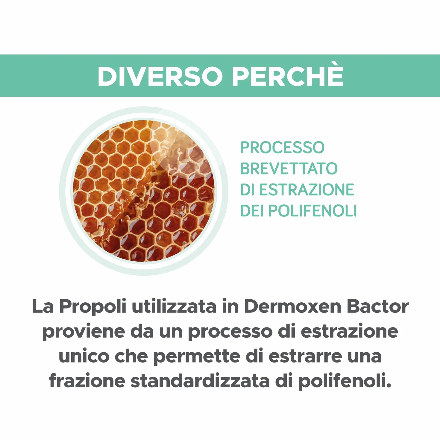 DERMOXEN Ovuli Candida Infezioni Batteriche Vaginosi 7 Pezzi Disinfettanti Naturali Cistite Vaginite