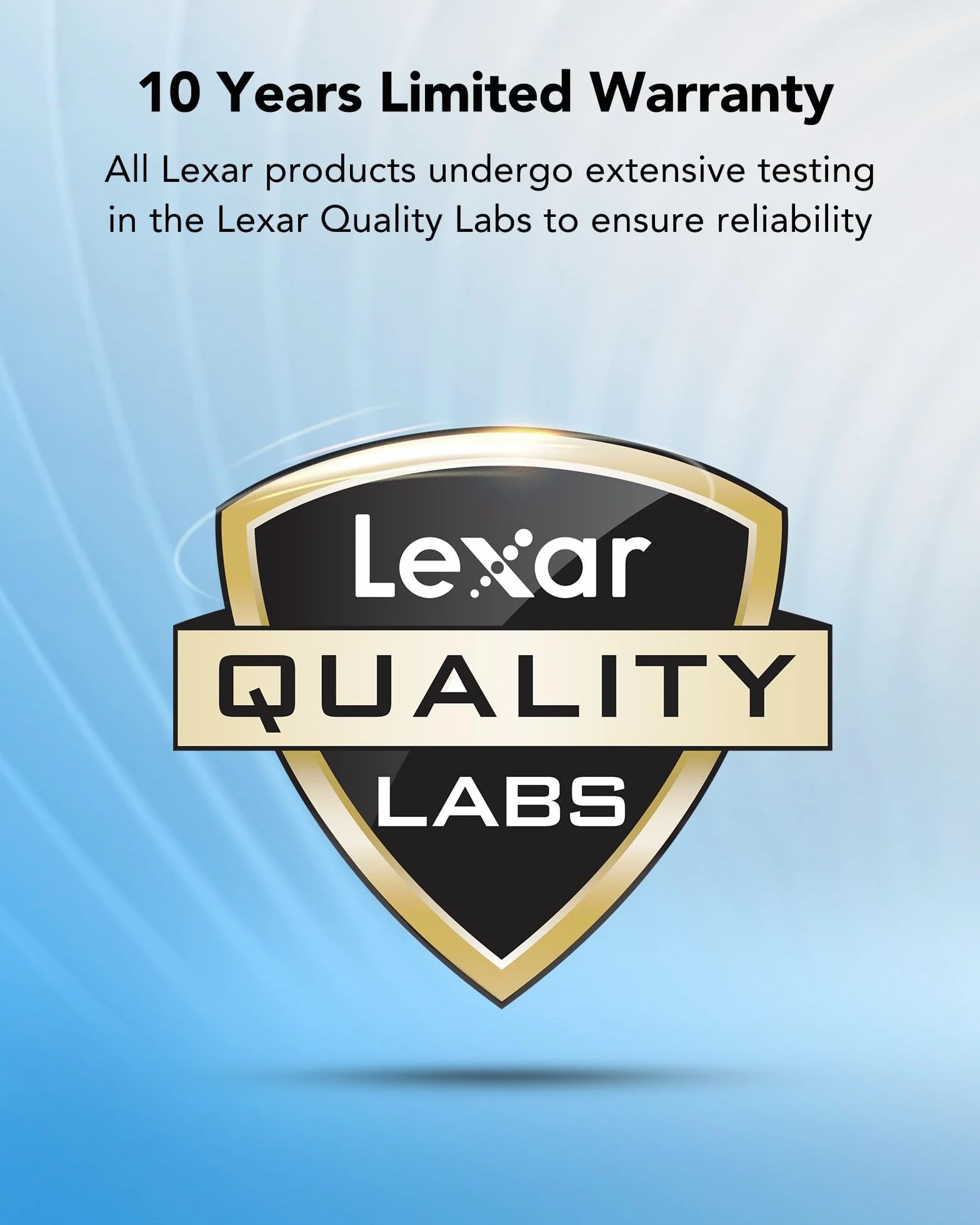 Lexar Micro SD 64 GB Scheda di Memoria microSDXC A1 U3 C10 V30 100 MB/s con Adattatore SD