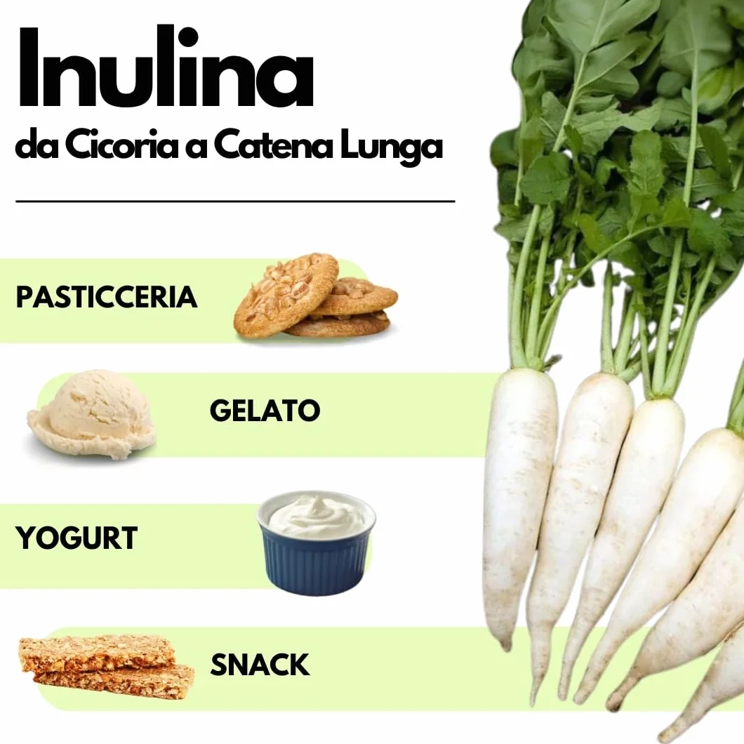 SaporePuro Inulina da cicoria 500 gr Fibra alimentare radici di cicoria