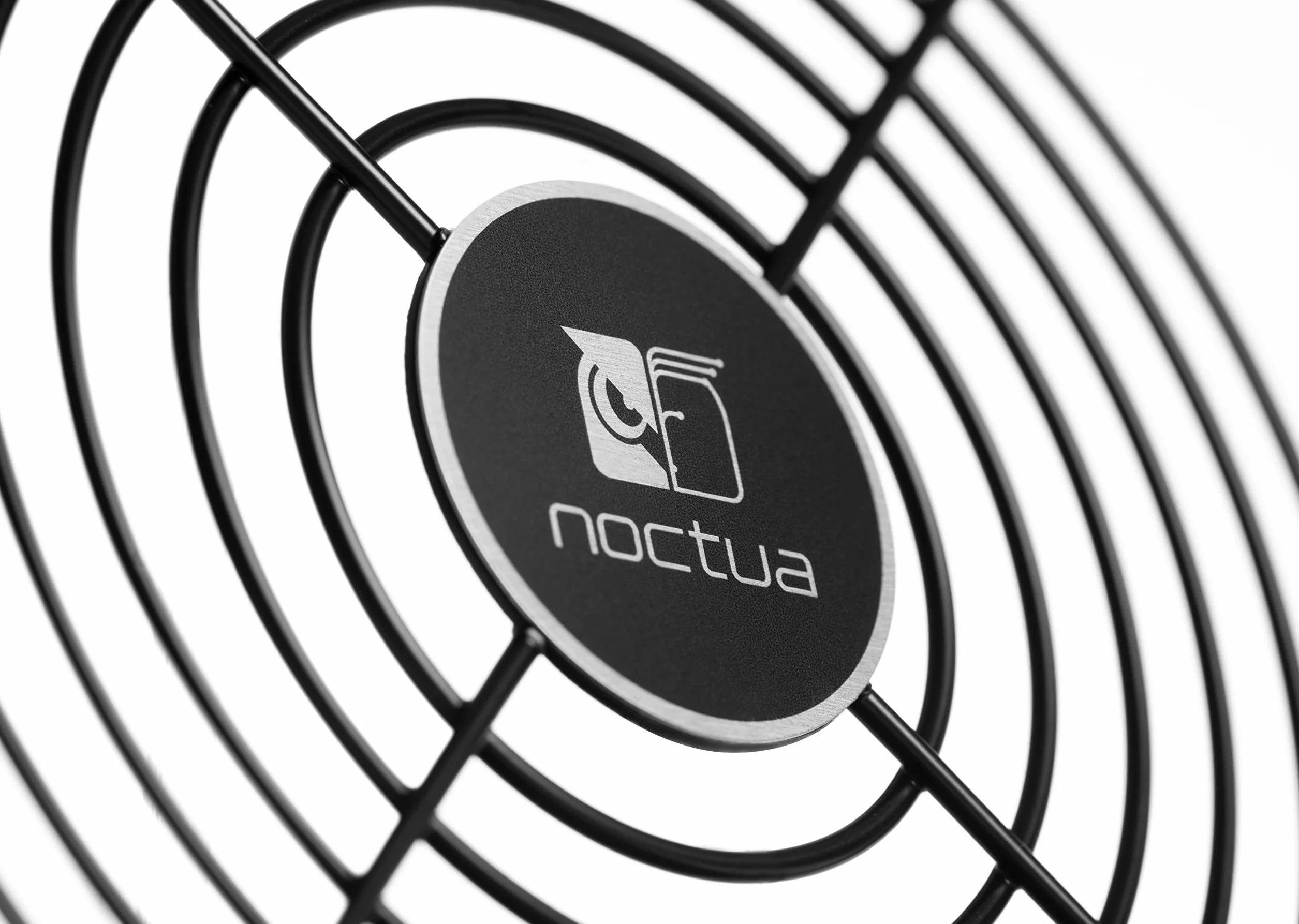 Noctua NA-FG1-12 Sx2, Griglie per Ventole da 120 mm (Set di 2, Nero)