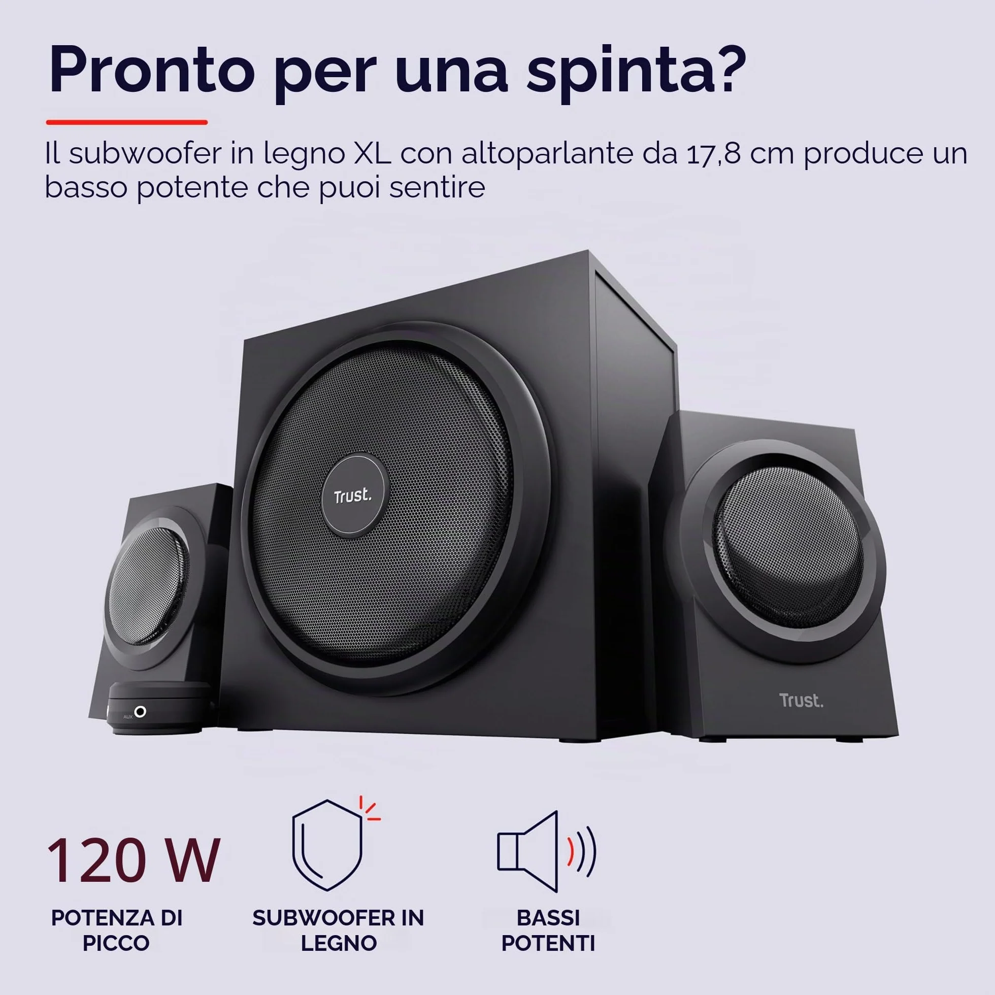 Trust Yuri Set 2.1 Subwoofer Casse PC 120 W Legno Driver 5.25 Pollice