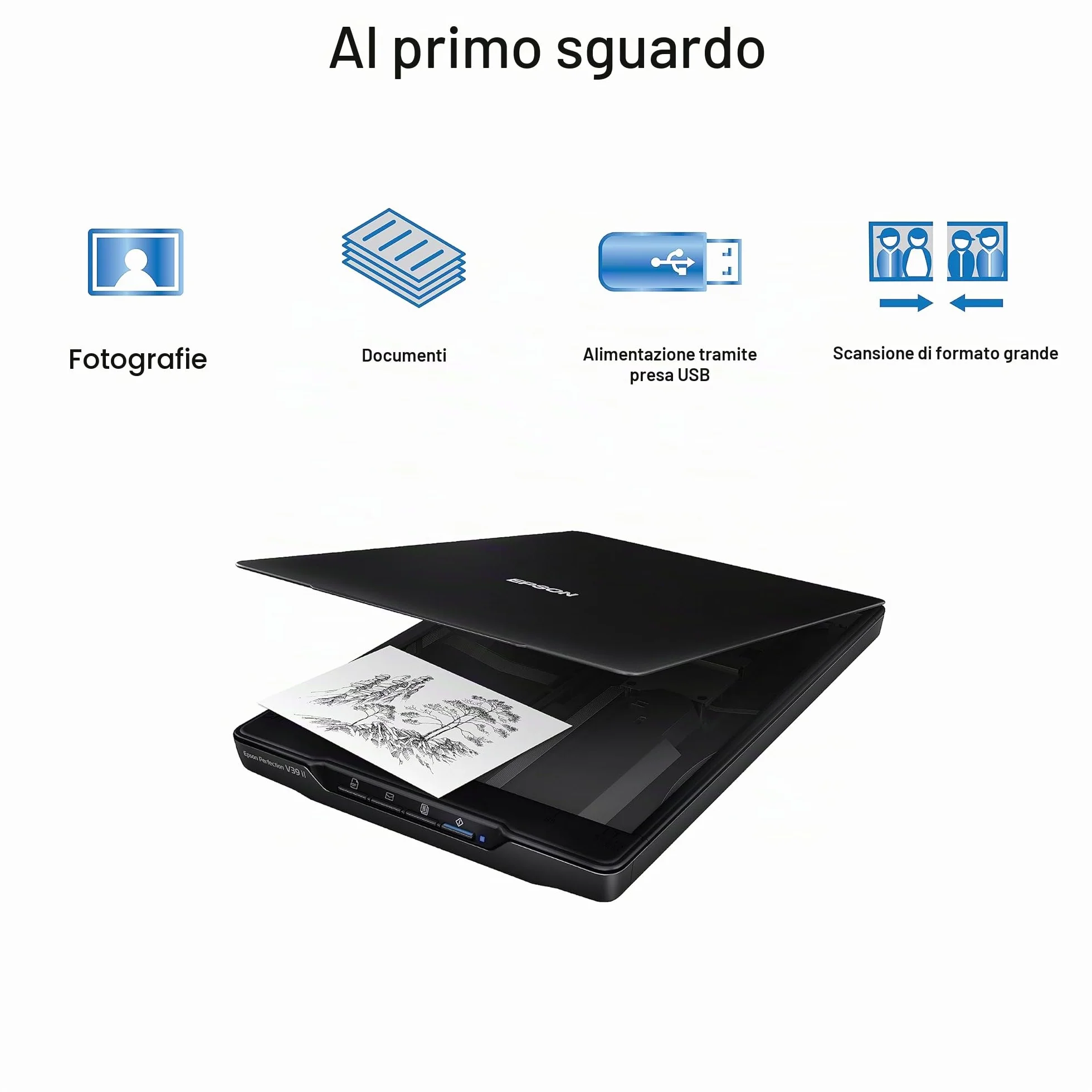 Epson Perfection V39 II - Scanner piatto per foto e documenti a colori con risoluzione ottica 4800 dpi, scansione su cloud, alimentazione USB e coperchio rimovibile