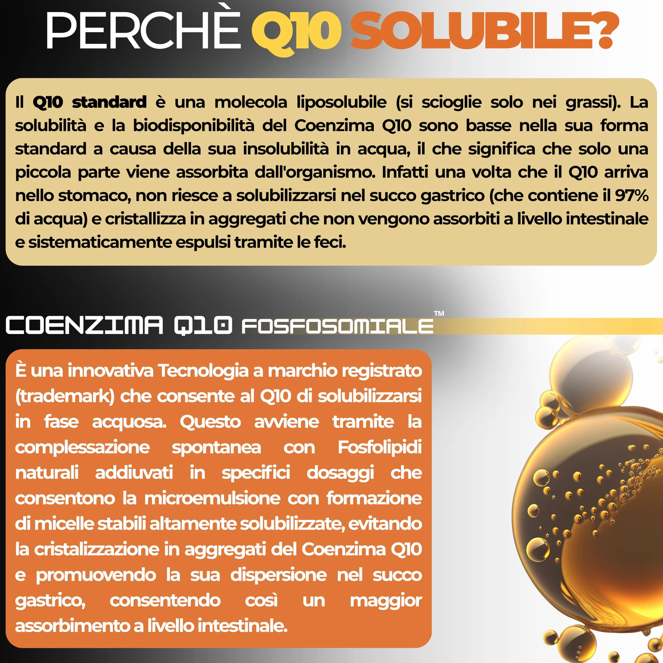 Coenzima Q10 300mg 180 capsule Ubiquinone Fosfosomiale™ Coq10 integratore