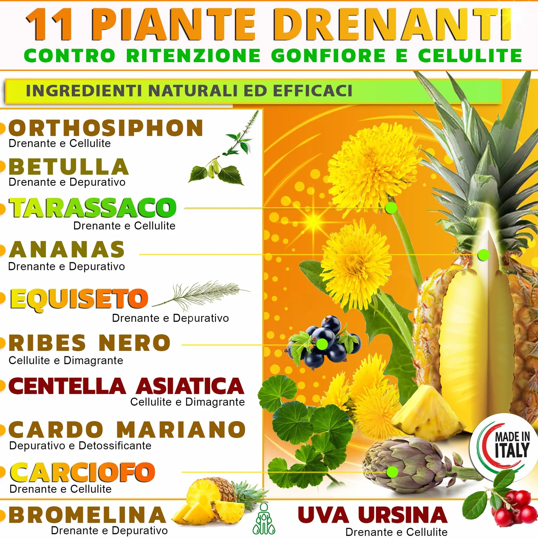 NUTREA PRO Drenante Anticellulite Dimagrante Forte 500ml con Bromelina e Tarassaco