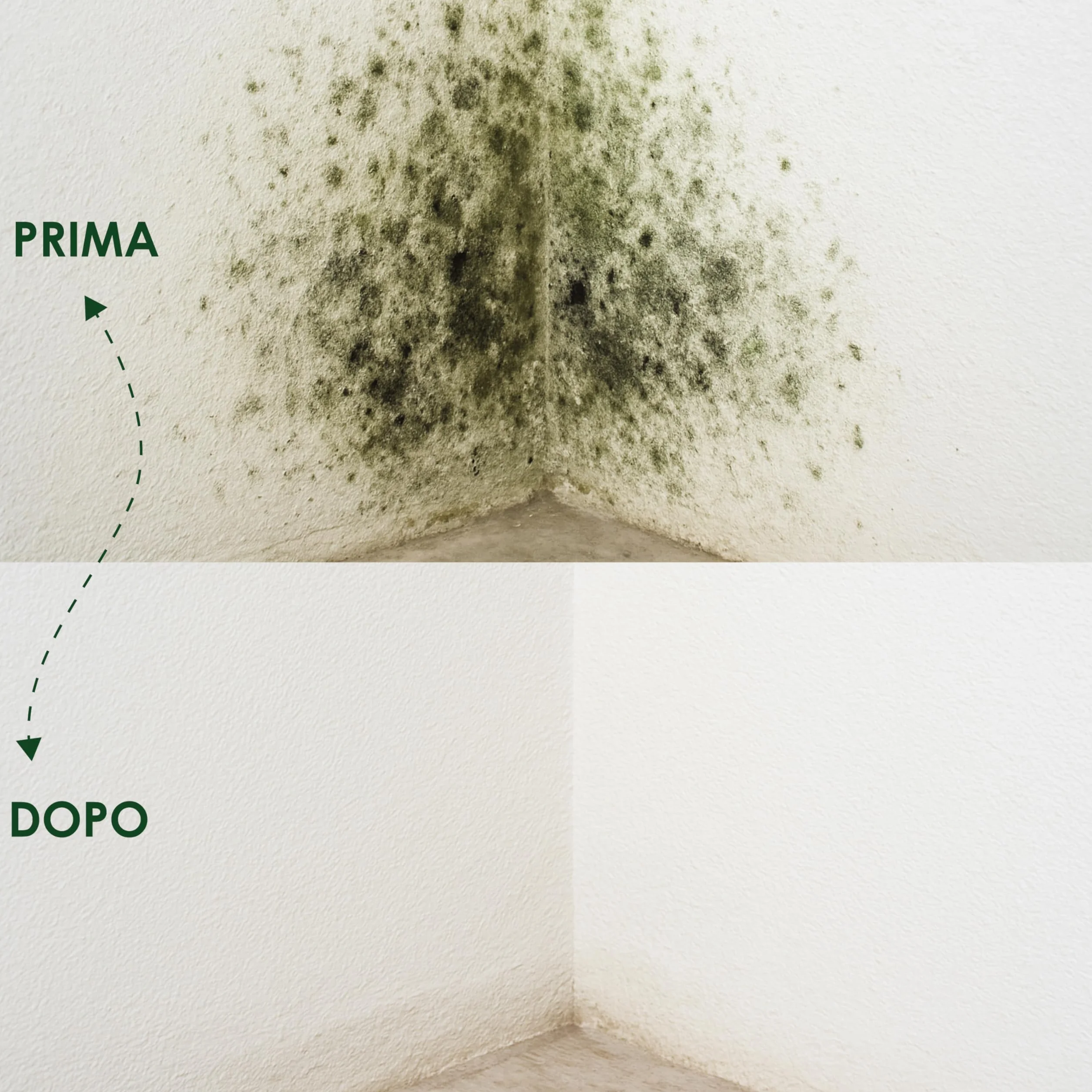 AGRI-CULTURA® Spray Antimuffa per Muri Interni 750 ml - Rimuove Muffa Alghe e Muschi per Bagno, Camera, Armadio