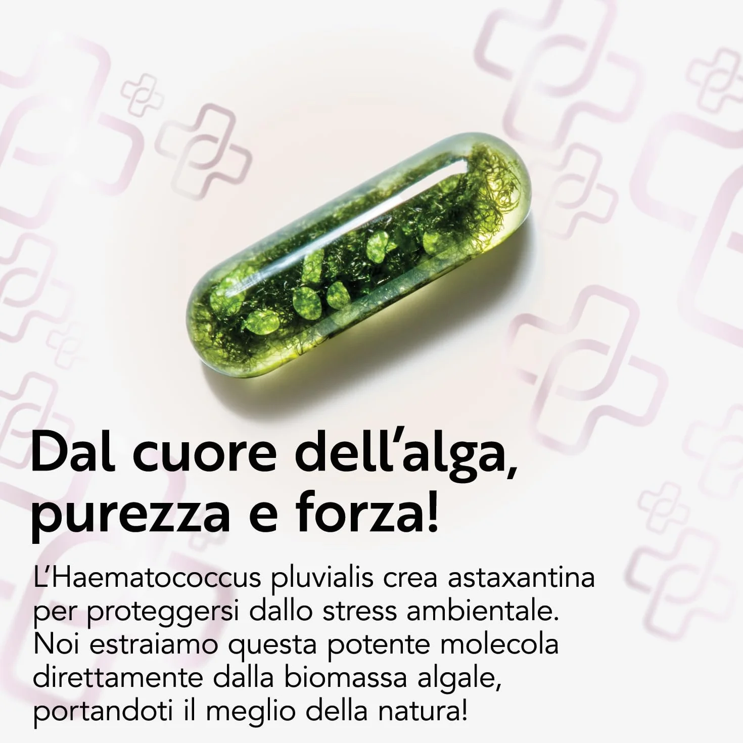 PiùLife Astaxantina Pura 40mg Da Alga Haematococcus Pluvialis Integratore Antiossidante Pelle Vista