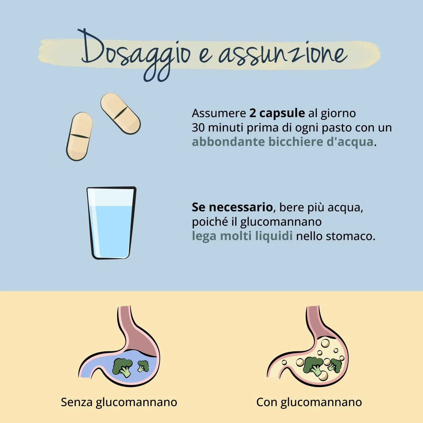 Glucomannano Complex Forte Alto Dosaggio Vegavero® z Witaminą B3 i Chromem
