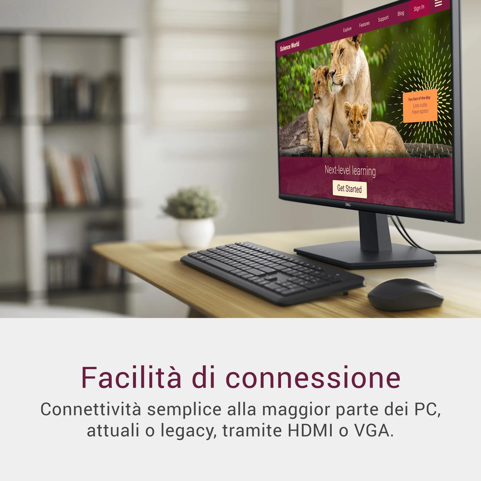 Dell 27 Monitor - SE2725HM, Full HD (1920x1080), 100Hz, IPS, 5ms, VESA (100x100mm), HDMI, VGA, 3 Anni di Garanzia, Nero