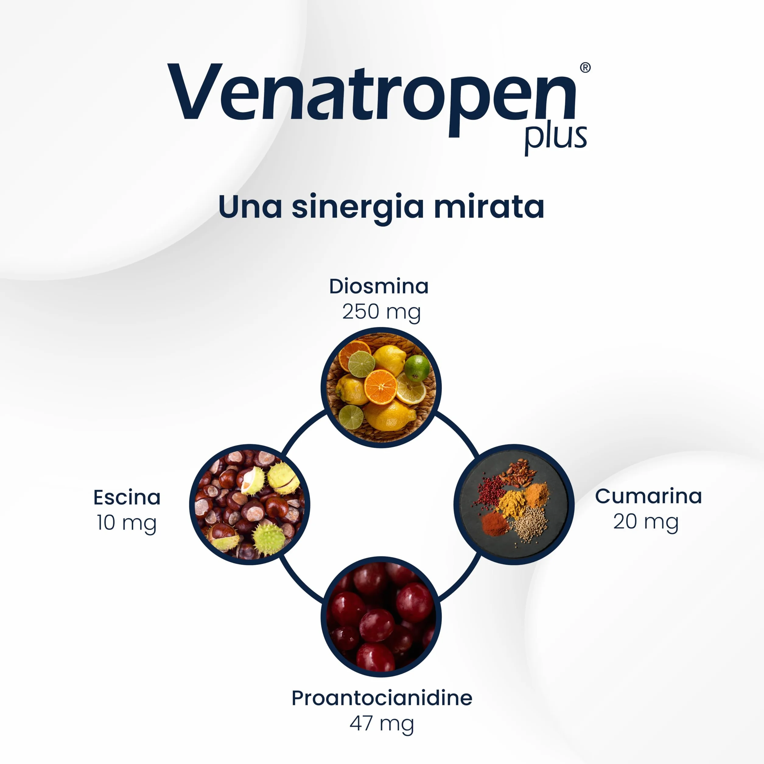 Aurora biofarma Venatropen Plus Integratore Circolazione Diosmina Estratti Vegetali 24 Capsule