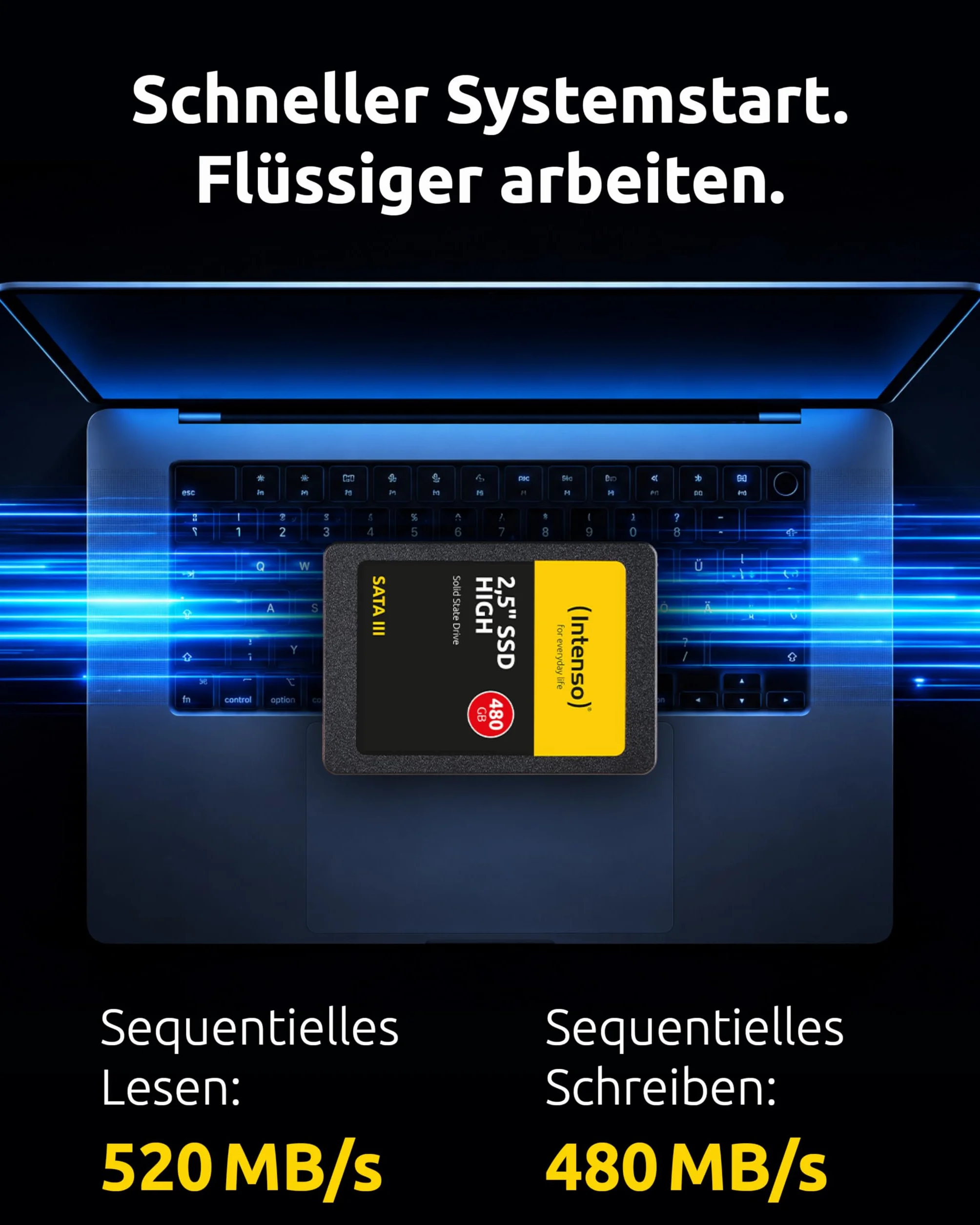 Intenso 2.5" SSD Interno SATA III High Performance, 480 GB, Nero