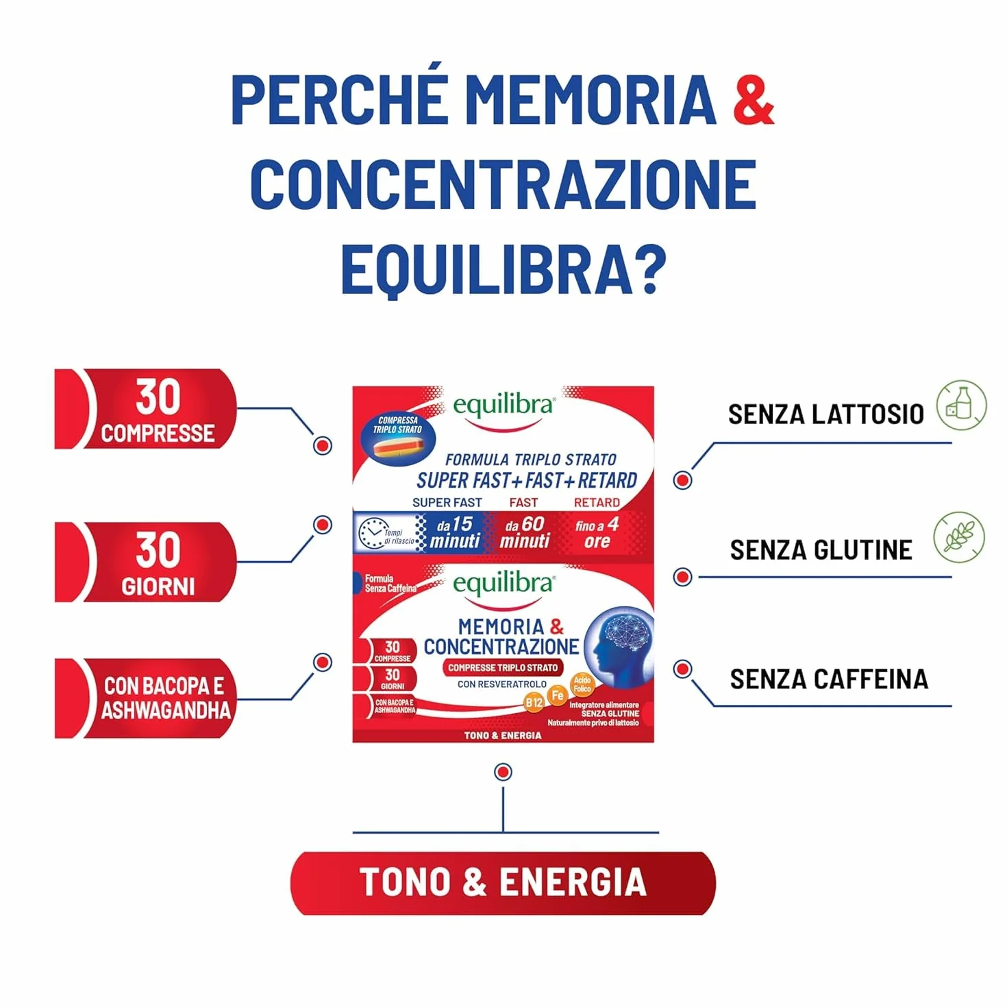 Equilibra Memoria e Concentrazione 30 Compresse Triplo-Strato Ferro Zinco Ashwagandha Bacopa Resveratrolo Integratore Multivitamine e Minerali Rilascio Graduale