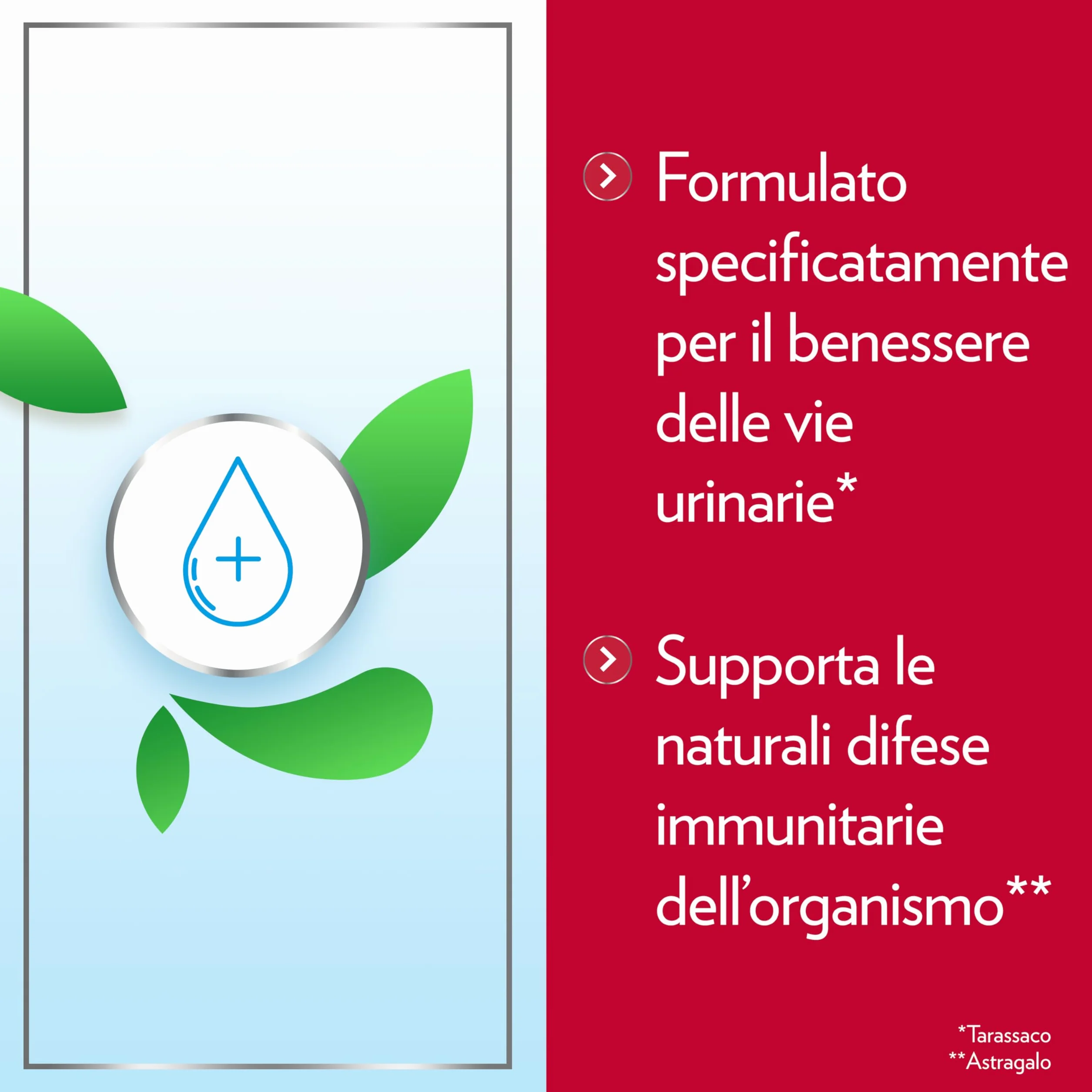 Gyno-CanesCystil CistiPro, Integratore D-Mannosio Vie Urinarie, 14 Bustine Gusto Te Verde Gelsomino e Agrumi