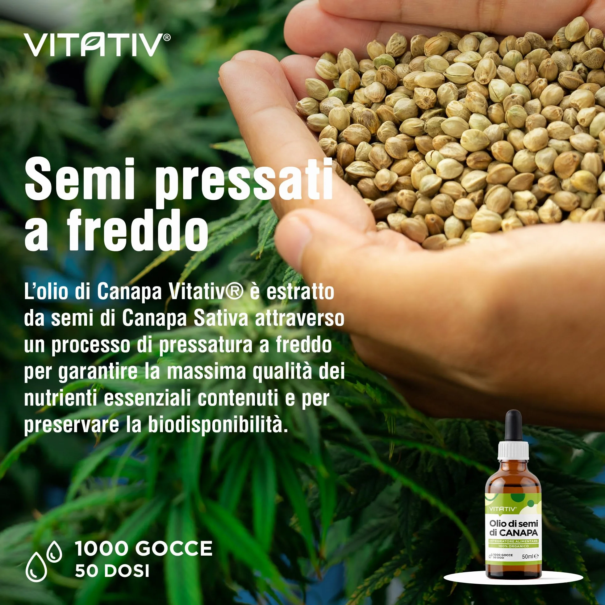 Olio di Canapa Puro 50ml Fonte Vegana di Omega 3 6 9, Vitamine e Minerali - Olio di Semi di Canapa Pressato a Freddo