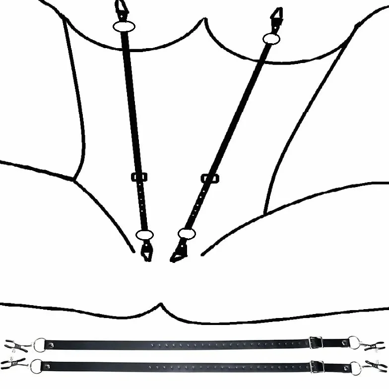 Cinghia speculum in pelle elastica