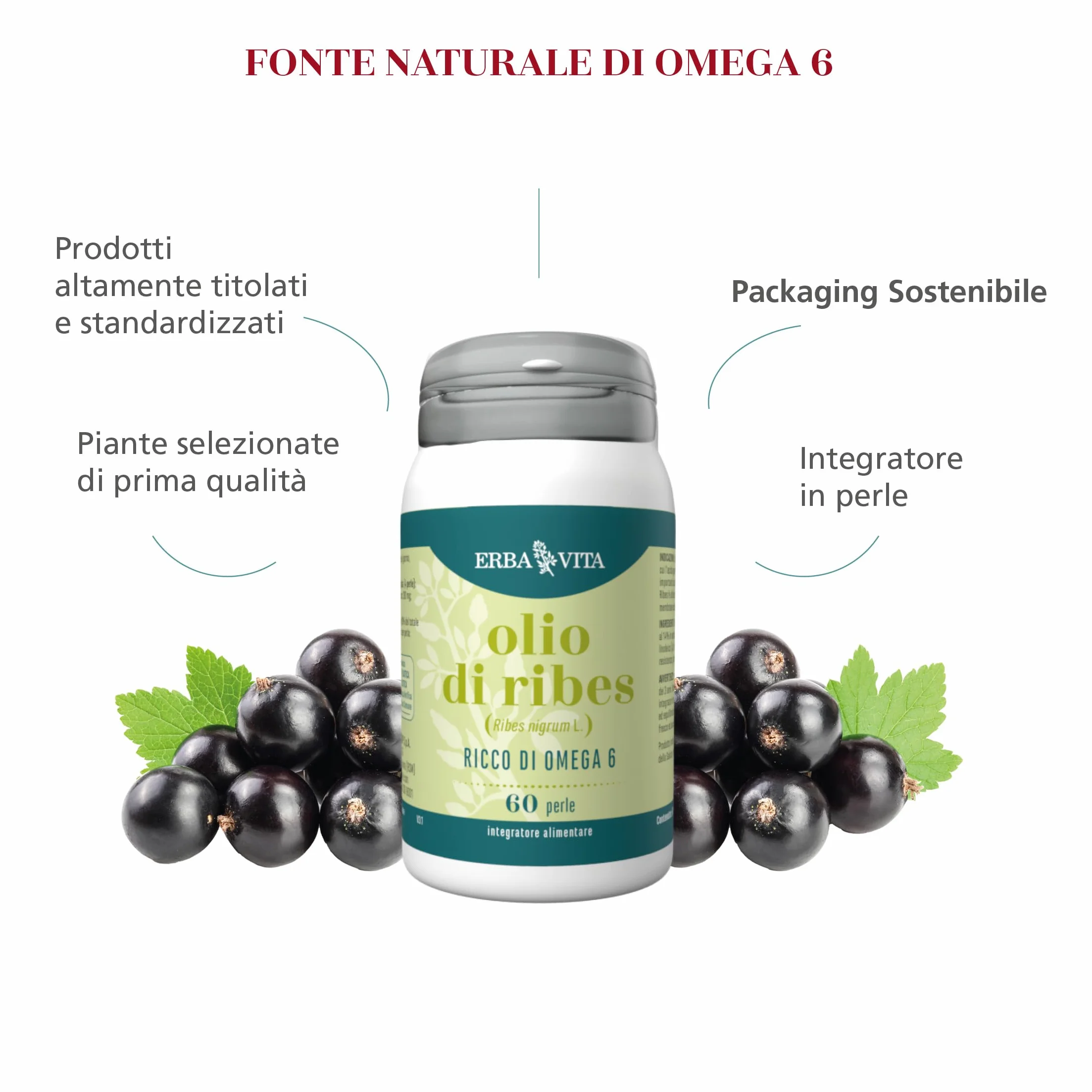 Erba Vita Integratore Alimentare Olio di Ribes 60 Perle
