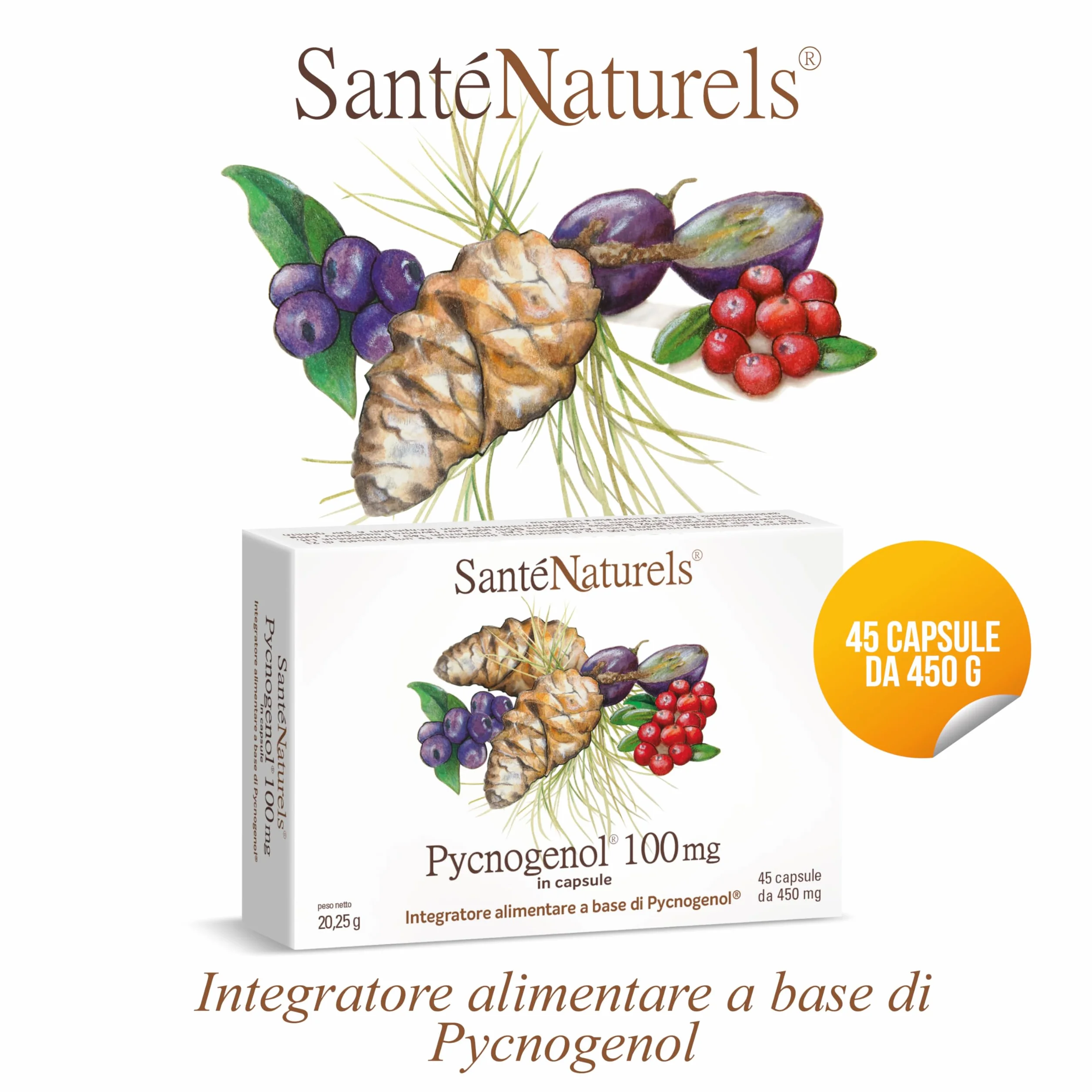 Pycnogenol 45 Capsule Vegetali Integratore con Zafferano, Mirtillo Rosso e Mirtillo Nero Brevettato Horphag