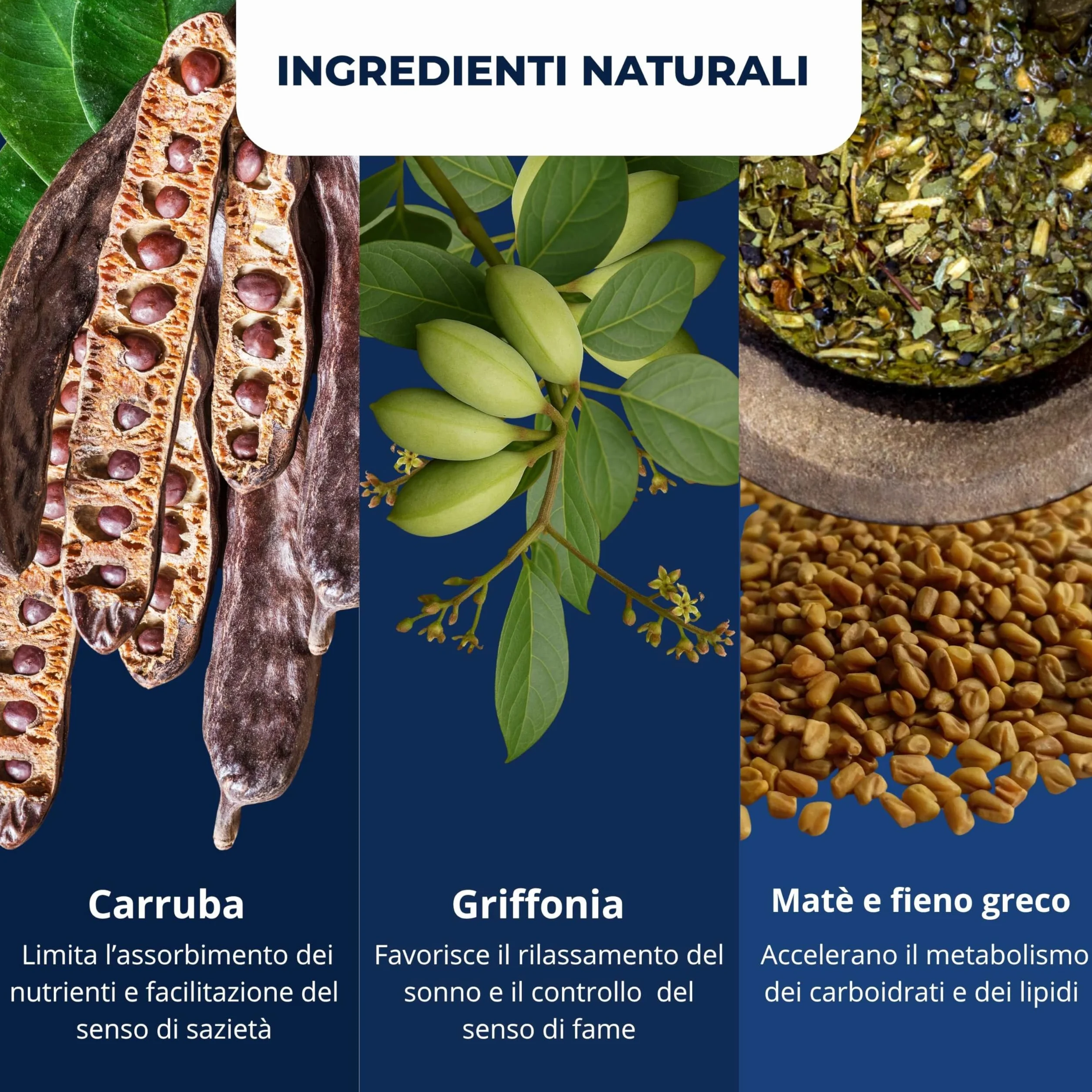 Leggerissima Notte Integratore Alimentare Notturno Capsule Supporto Controllo Peso Benessere Notturno Griffonia Fieno Greco Mate 60 Capsule