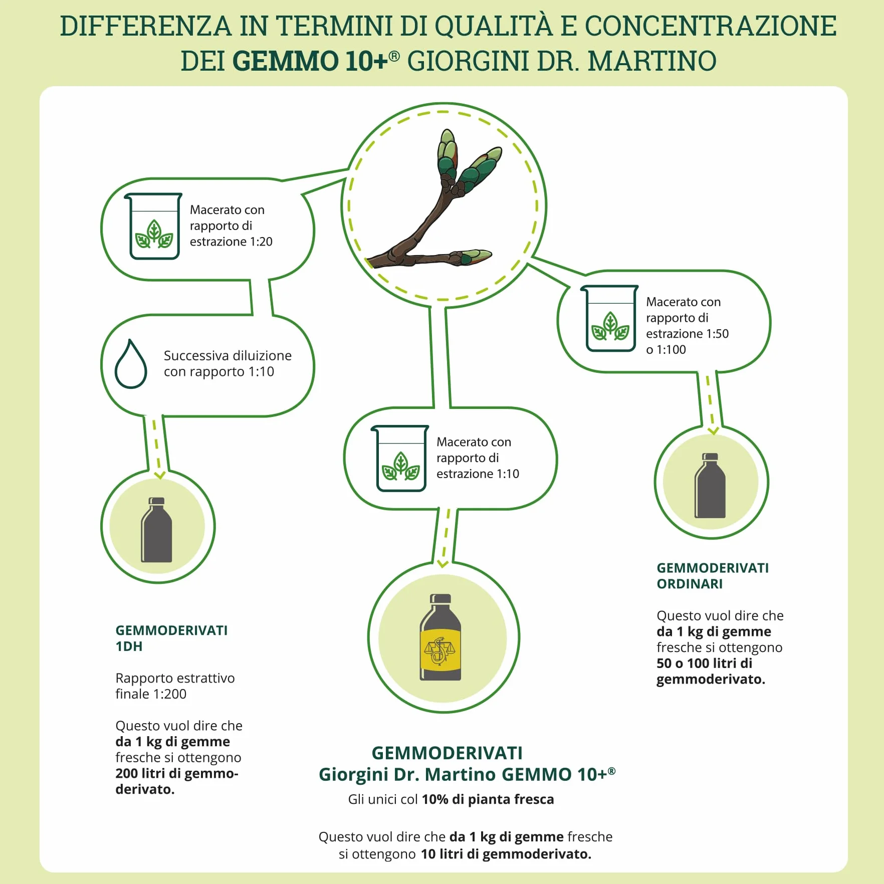 Dr Giorgini RIBES NERO Gemmoderivato Concentrato Liquido Analcoolico 500 Millilitri