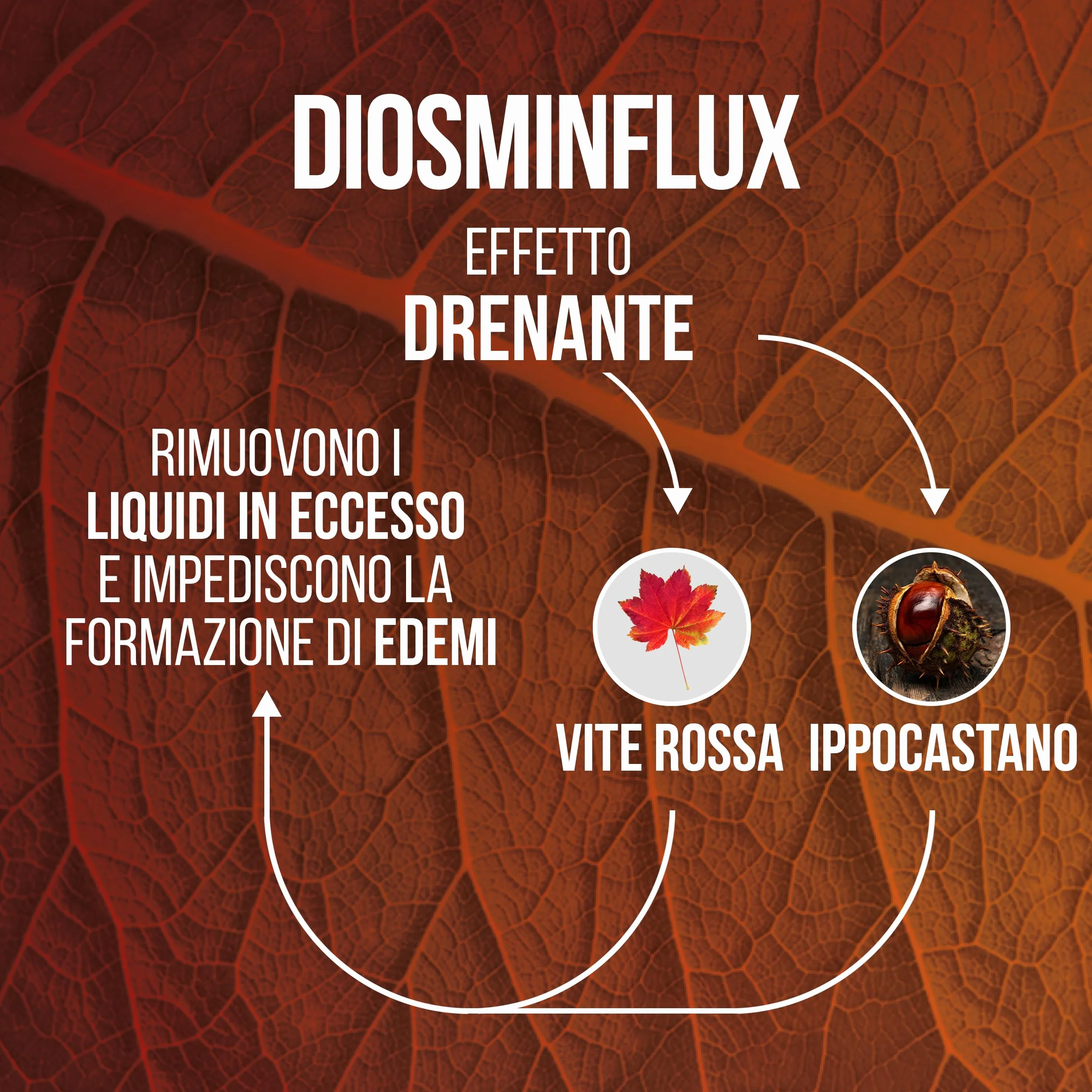 Diosmina ed Esperidina 500 mg Integratore Microcircolo per Vene Varicose 40 Compresse