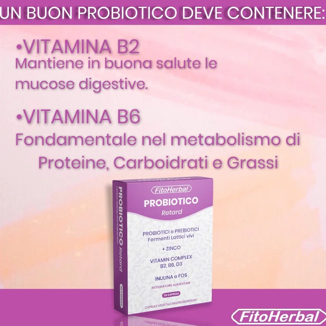 Fermenti Lattici Probiotici e Prebiotici 40 miliardi CFU Lactobacillus Bifidobacterium Inulina Zinco Vitamine B2 B6 D3 Capsule Gastroresistenti