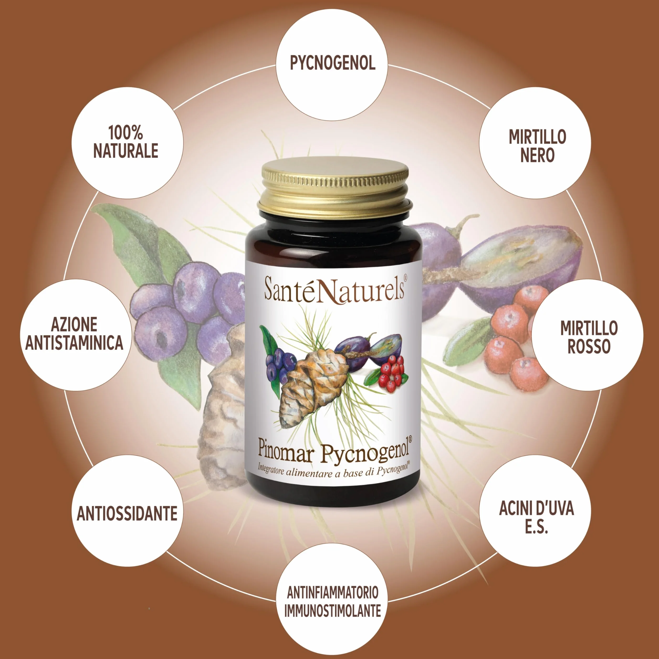 Pinomar Pycnogenol 60 Capsule Vegetali Estratto Secco di Pino Marittimo Francese con Mirtillo Nero, Mirtillo Rosso e Acini d'Uva
