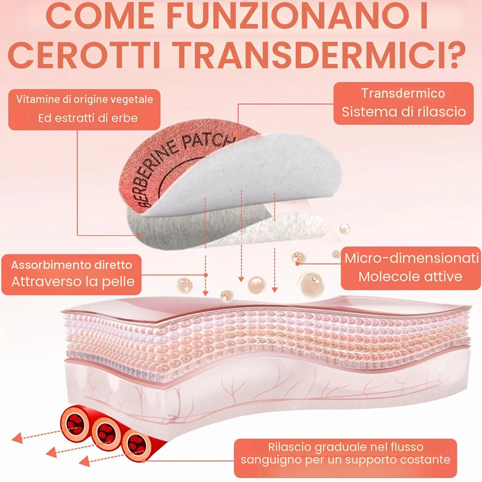 Patch Di Berberina Per L'Equilibrio Metabolico, 2 x 30Pcs Adesivi Per La Pelle