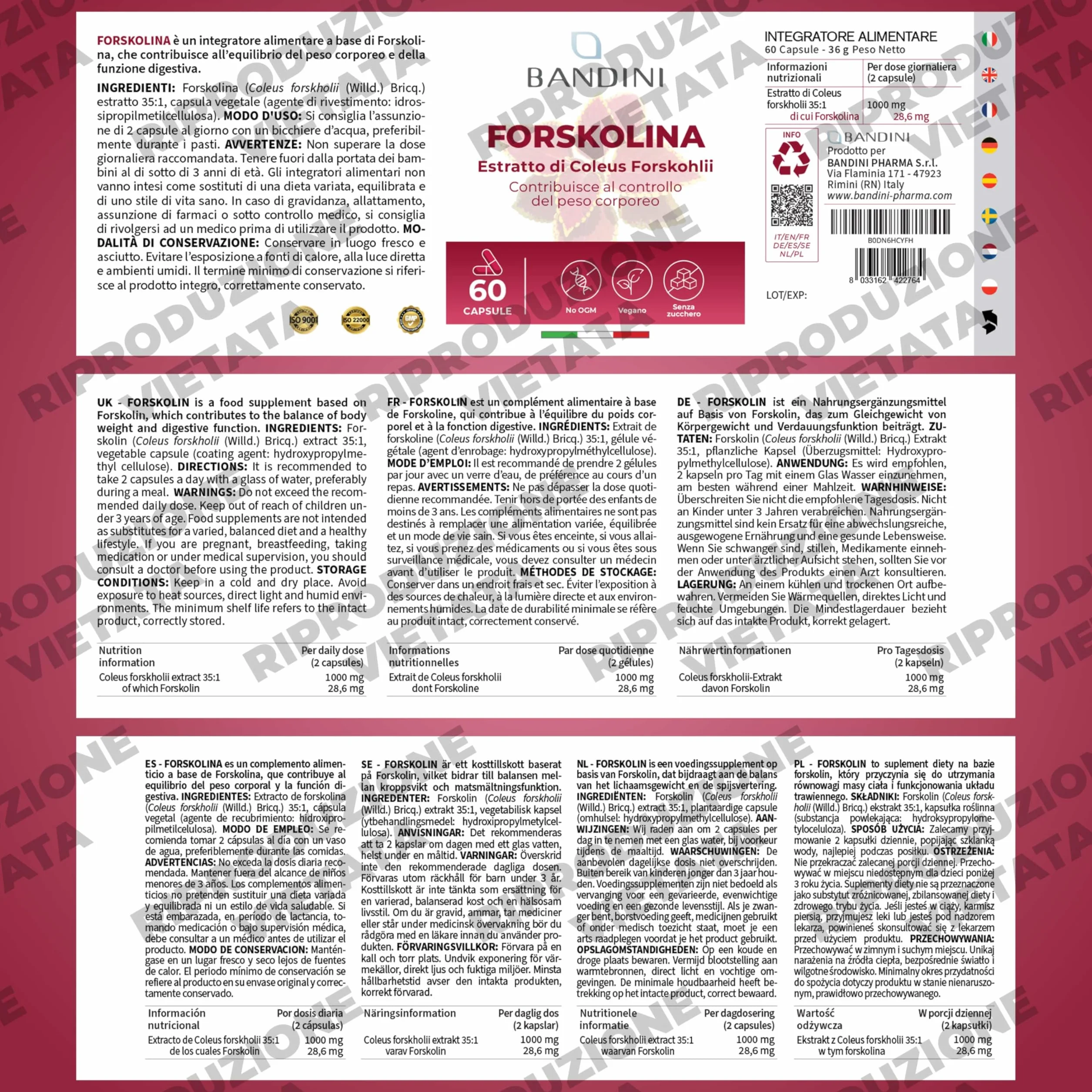 Forskolina Forte 1000mg 35:1 Coleus Forskohlii Estratto Vegan 60 Capsule Digestivo