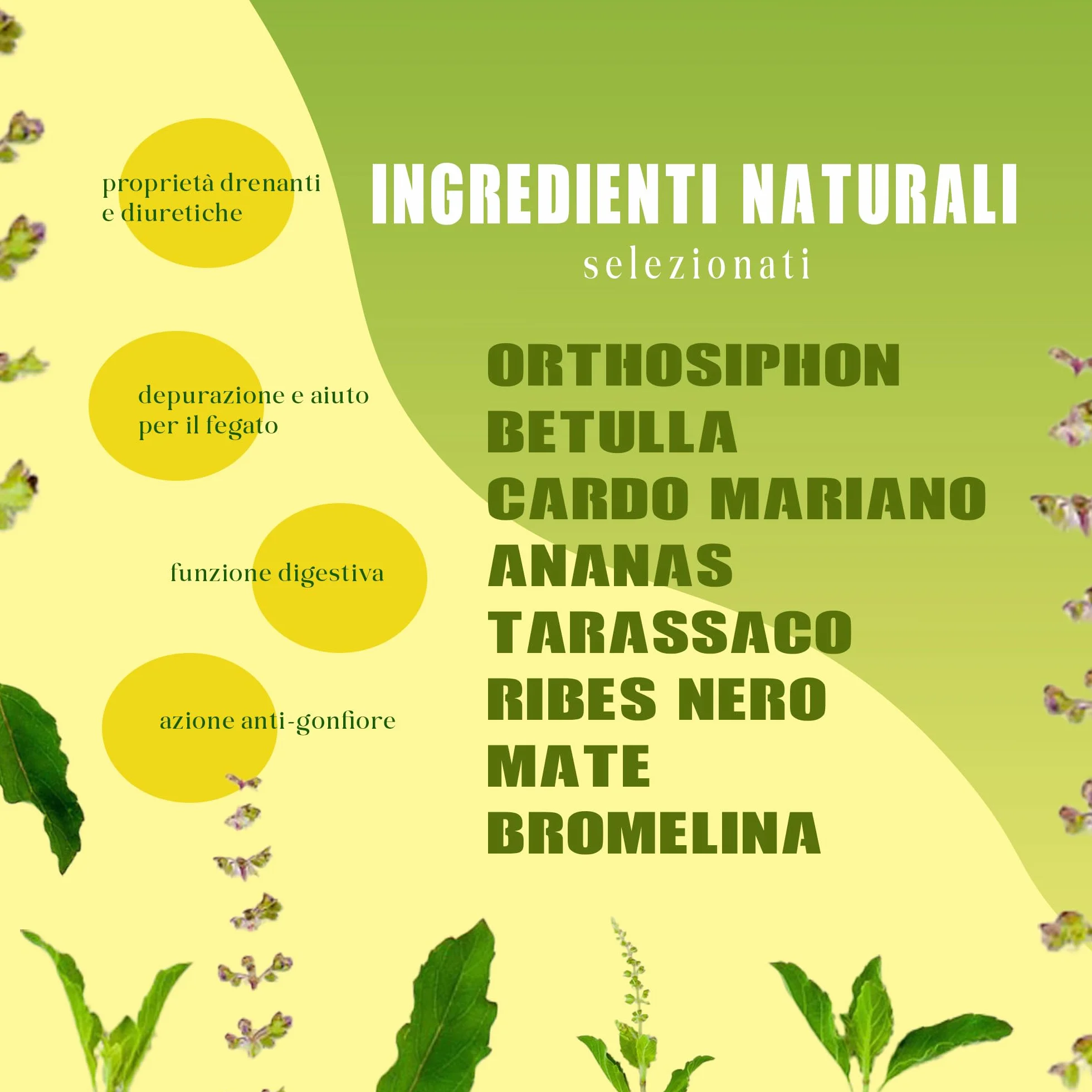 Monvya Health Drenante Forte con Bromelina 500ml Detox Cellulite Digestivo Gambe Leggere