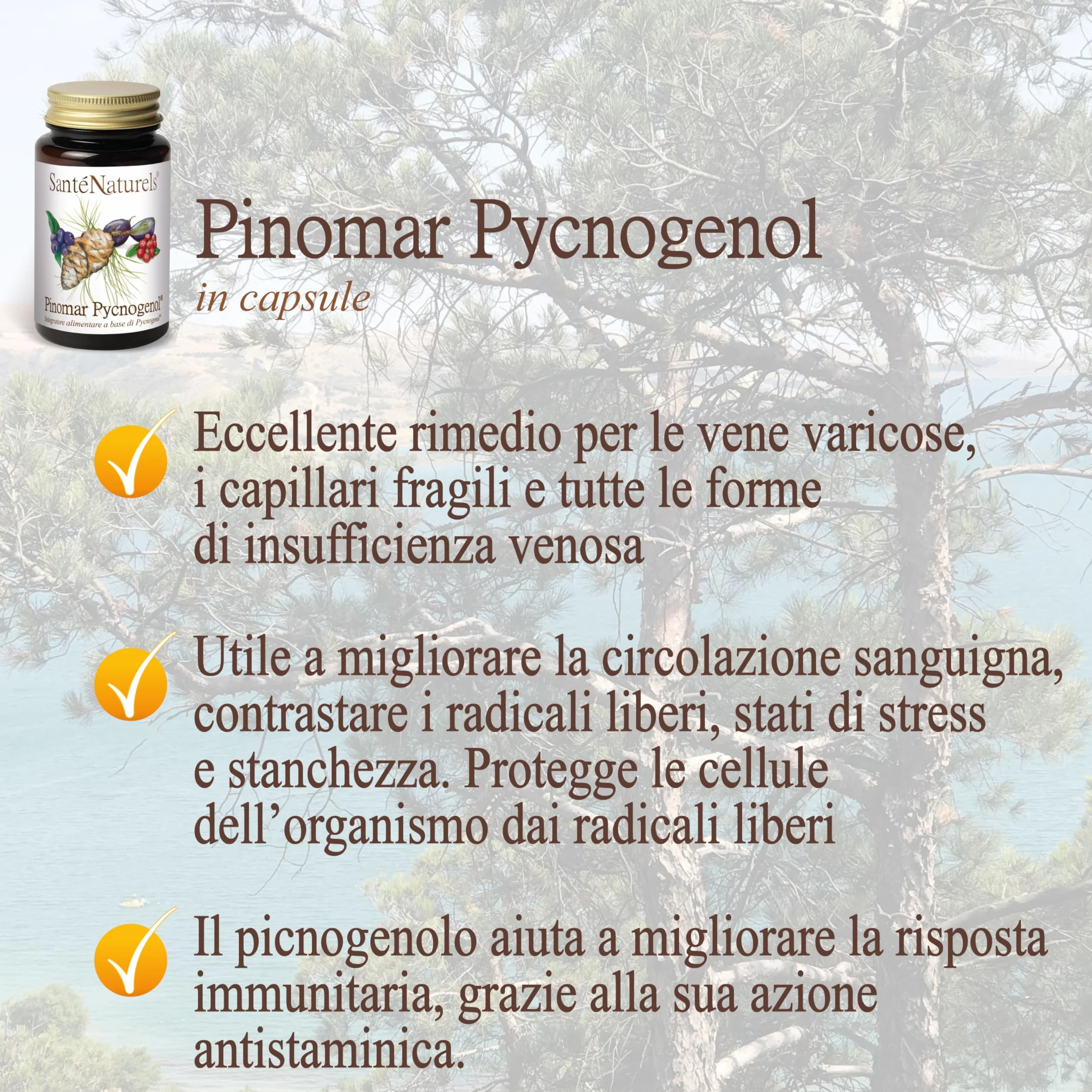 Pinomar Pycnogenol 60 Capsule Vegetali Estratto Secco di Pino Marittimo Francese con Mirtillo Nero, Mirtillo Rosso e Acini d'Uva