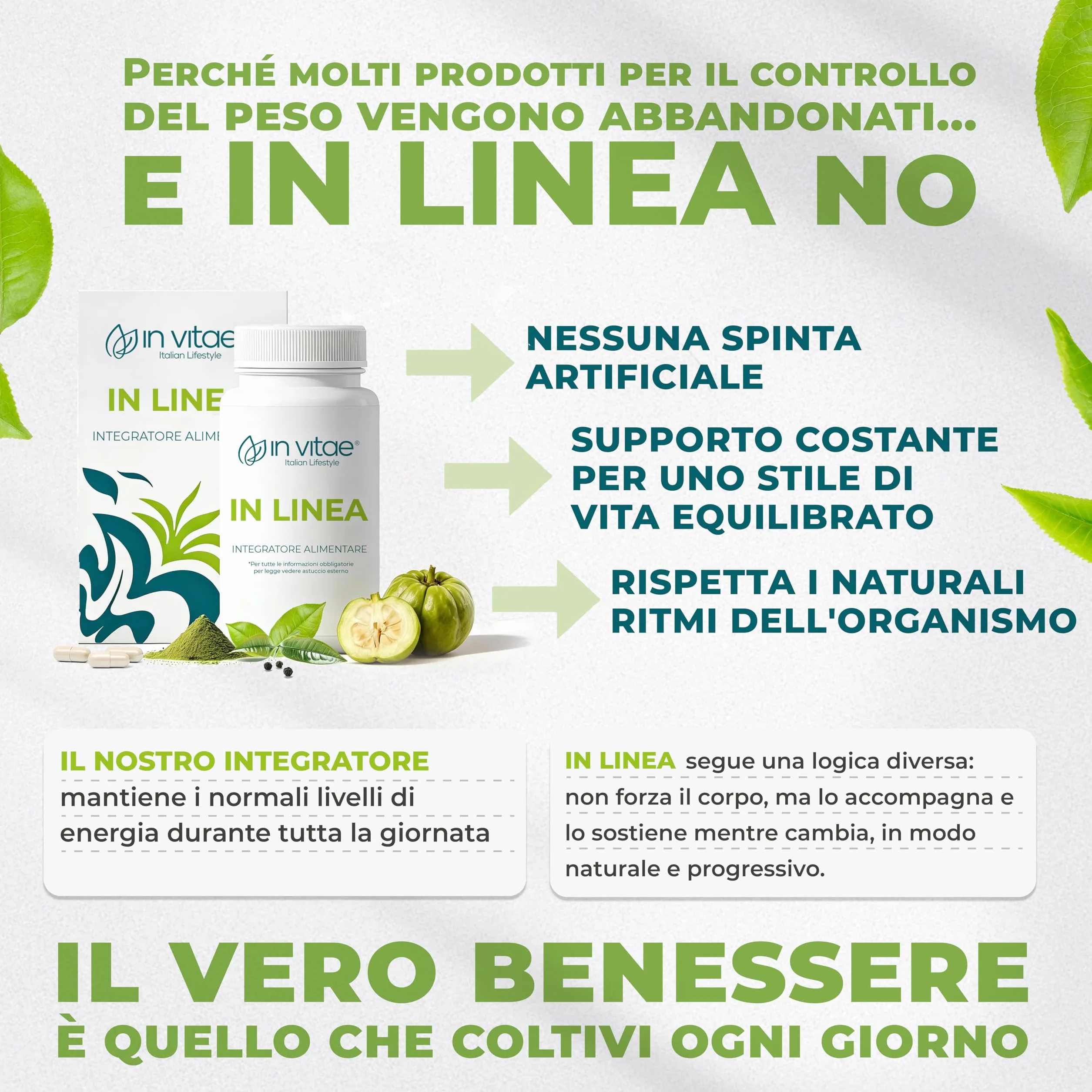 IN VITAE In Linea Integratore Senso di Sazietà e Metabolismo Garcinia Cambogia Tè Verde Glucomannano 60 Capsule Made in Italy