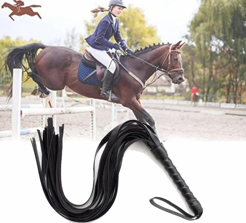 Frusta Classica in Imitazione di Pelle Multifunzionale per Equitazione, Accessorio Allenamento Sportivo Nero