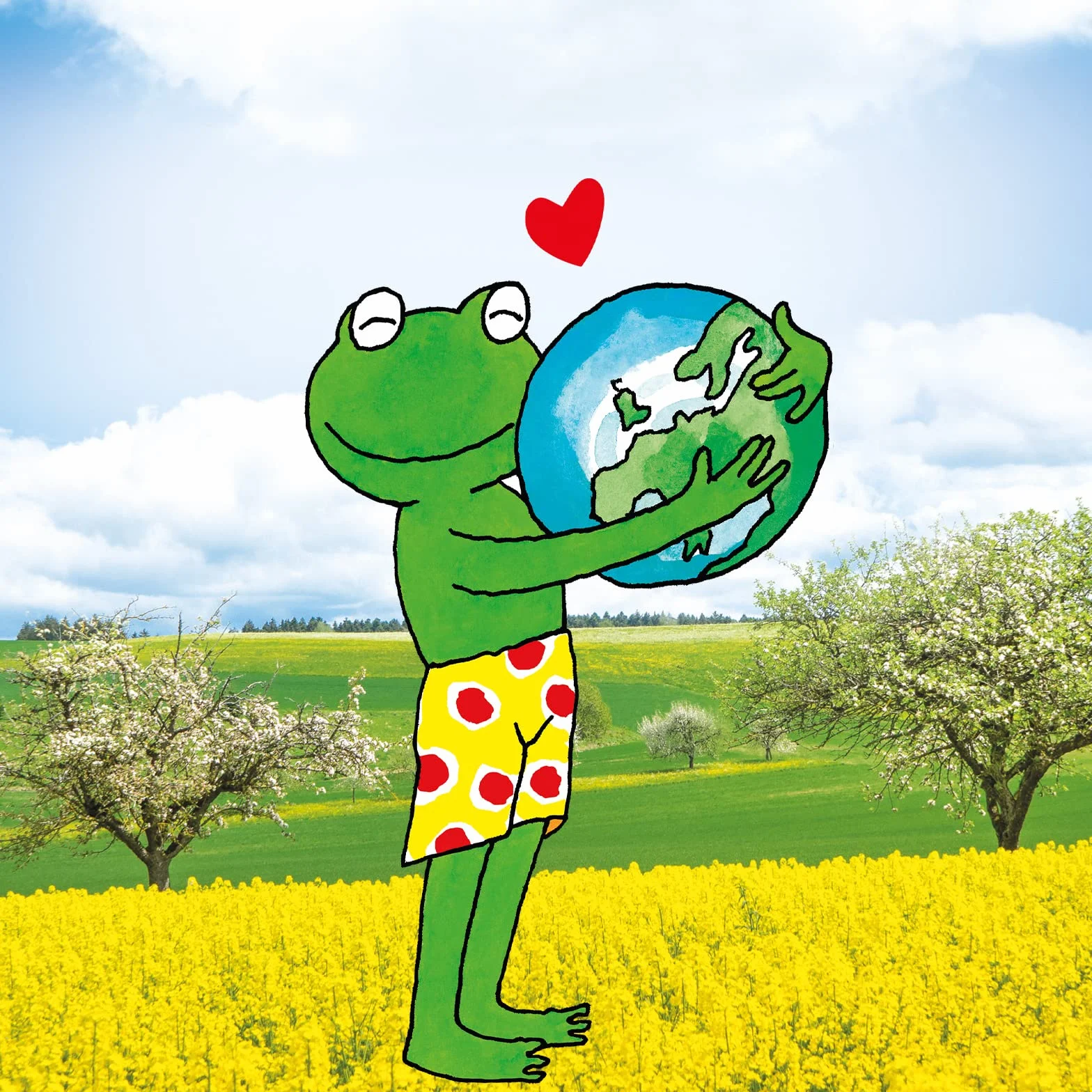 Frosch Lampone Detergente universale 750 ml