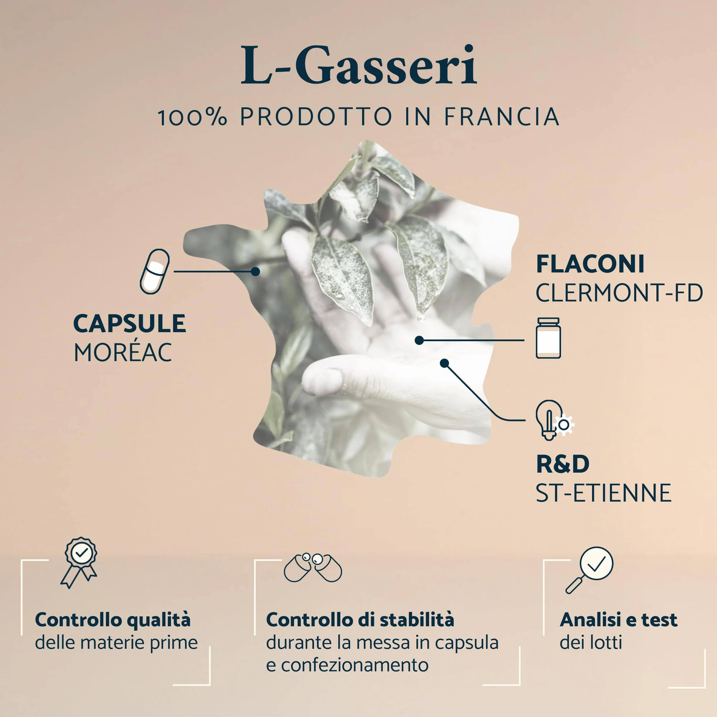 Lactobacillus Gasseri Probiotici 50 Miliardi UFC 60 Capsule Gastroresistenti Apyforme