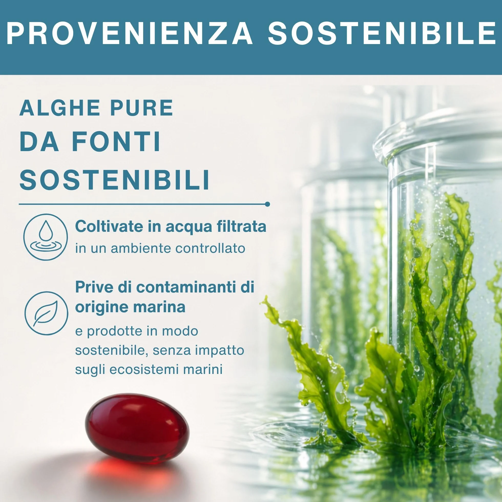 Igennus Omega 3 Vegano in Trigliceridi Naturali con Astaxantina, Olio di Alghe DHA EPA, 1344 mg, 180 Capsule