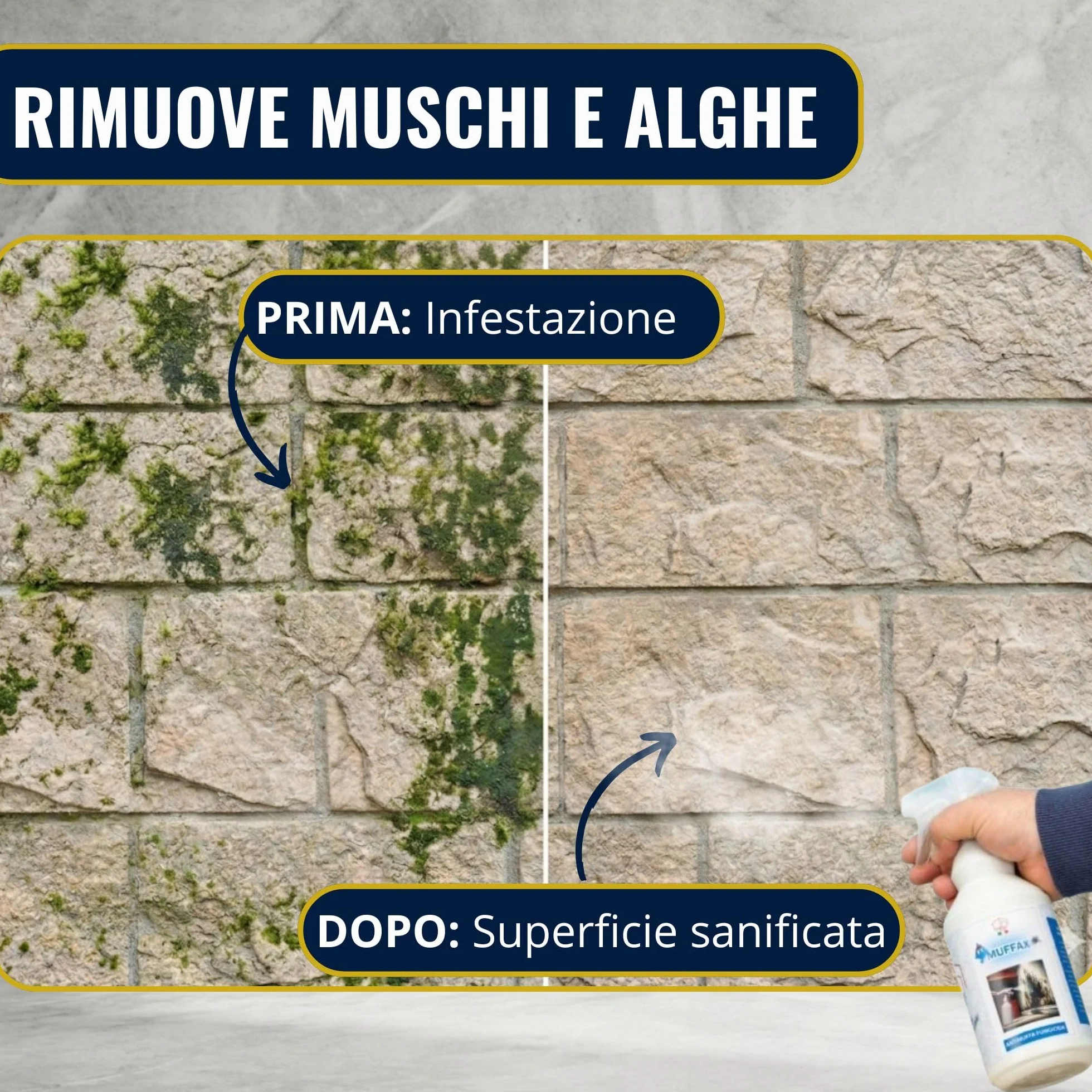 LUMOXX Antimuffa Spray 750 ml - Disinfettante per Muri Interni ed Esterni