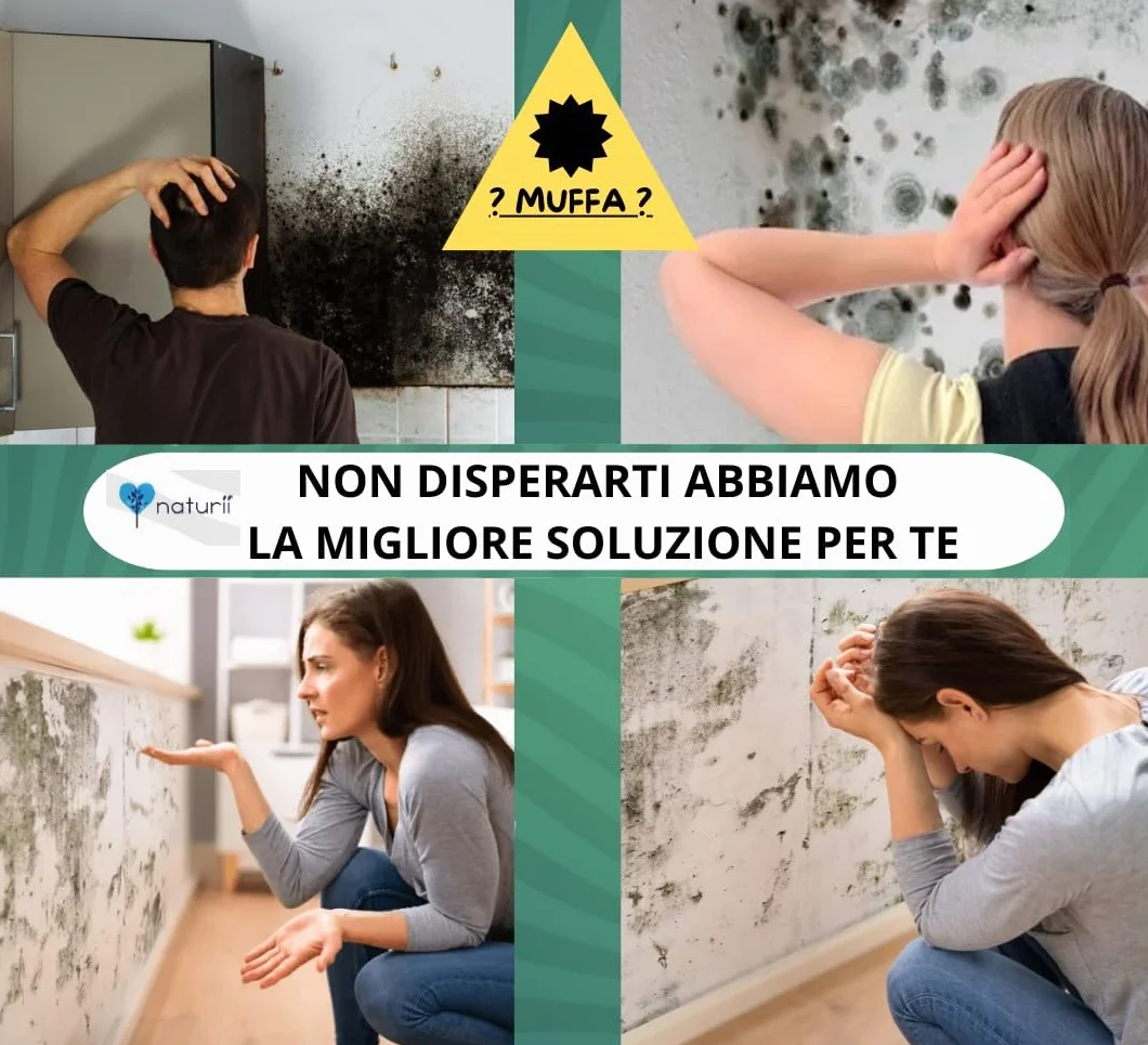 Naturìì Spray Antimuffa PROFUMATO 1L Elimina Muffe Alghe Muschi Licheni Uso Interno Esterno