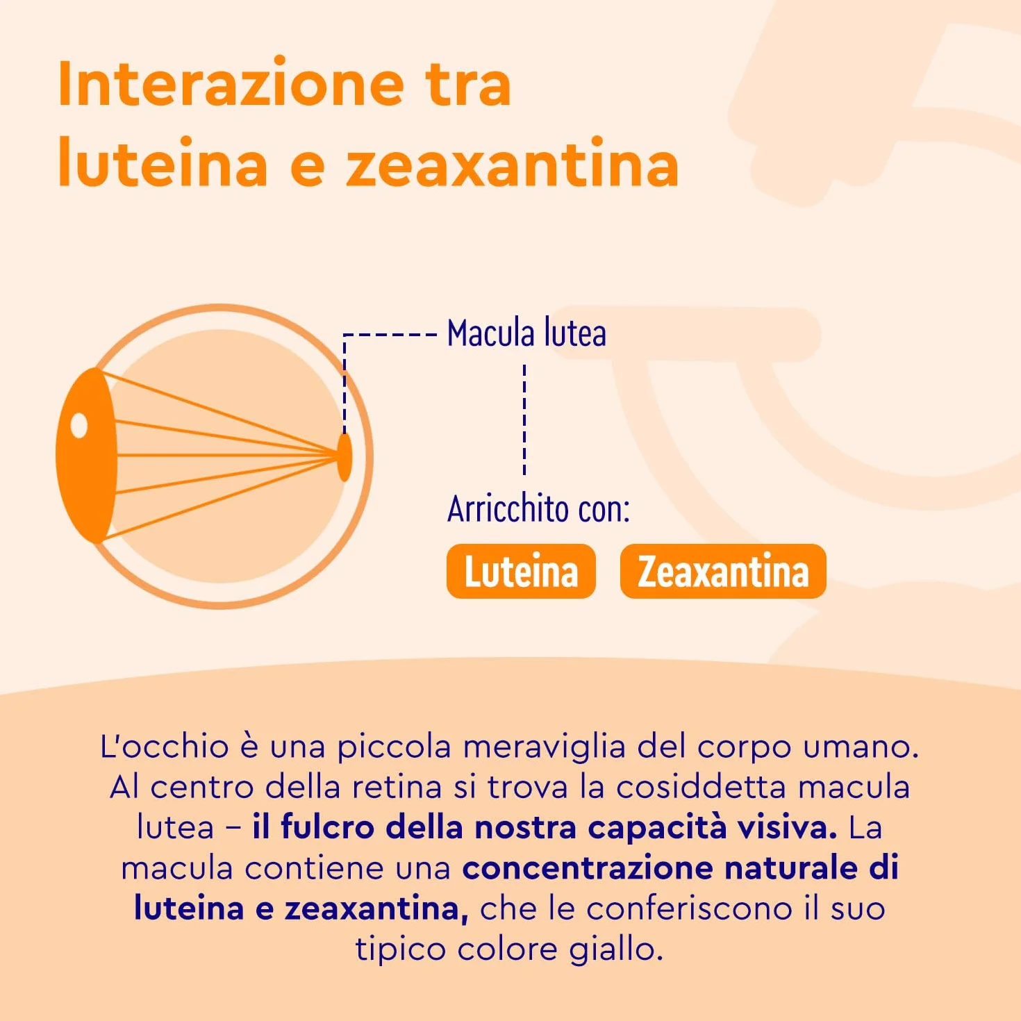 Luteina e Zeaxantina Capsule 90 Capsule Integratore Occhi con Vitamina A & Riboflavina Alto Dosaggio Vegan