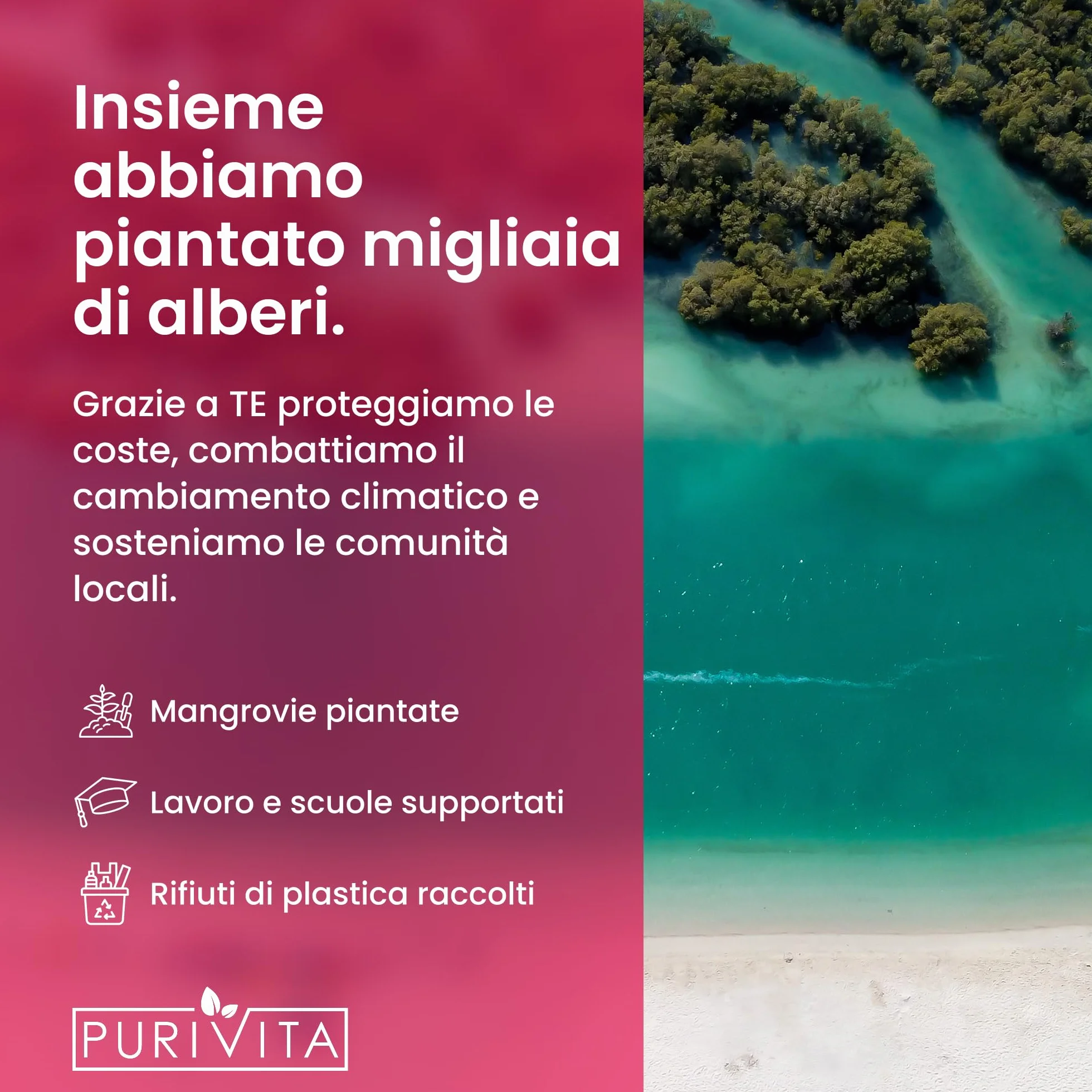 PURIVITA® Detergente per Vetri Concentrato 1:200 500ML - Idrorepellente Scudo Antigoccia per Finestre, Specchi e Box Doccia