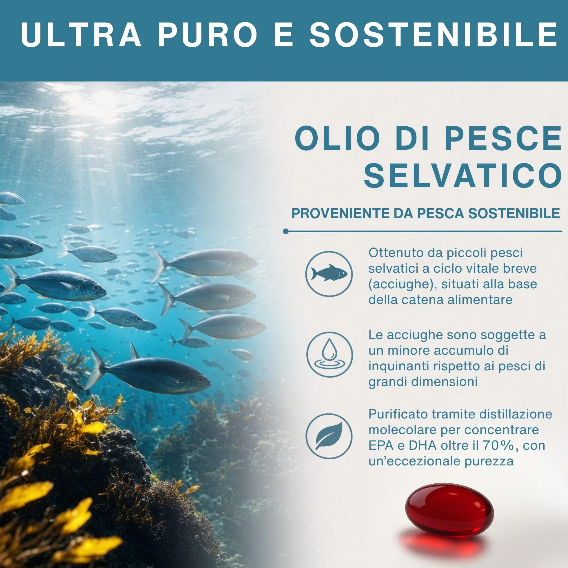 Igennus Omega 3 IFOS 5 Stelle 1000mg Olio di Pesce Ultra Puro Trigliceridi rTG EPA 670mg DHA 330mg 180 Softgel