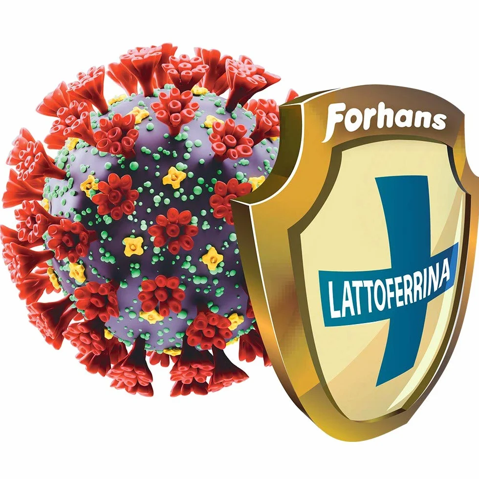 Forhans Integratore Alimentare Gengi-For Lattoferrina D-Biotina 30 Compresse Orosolubili