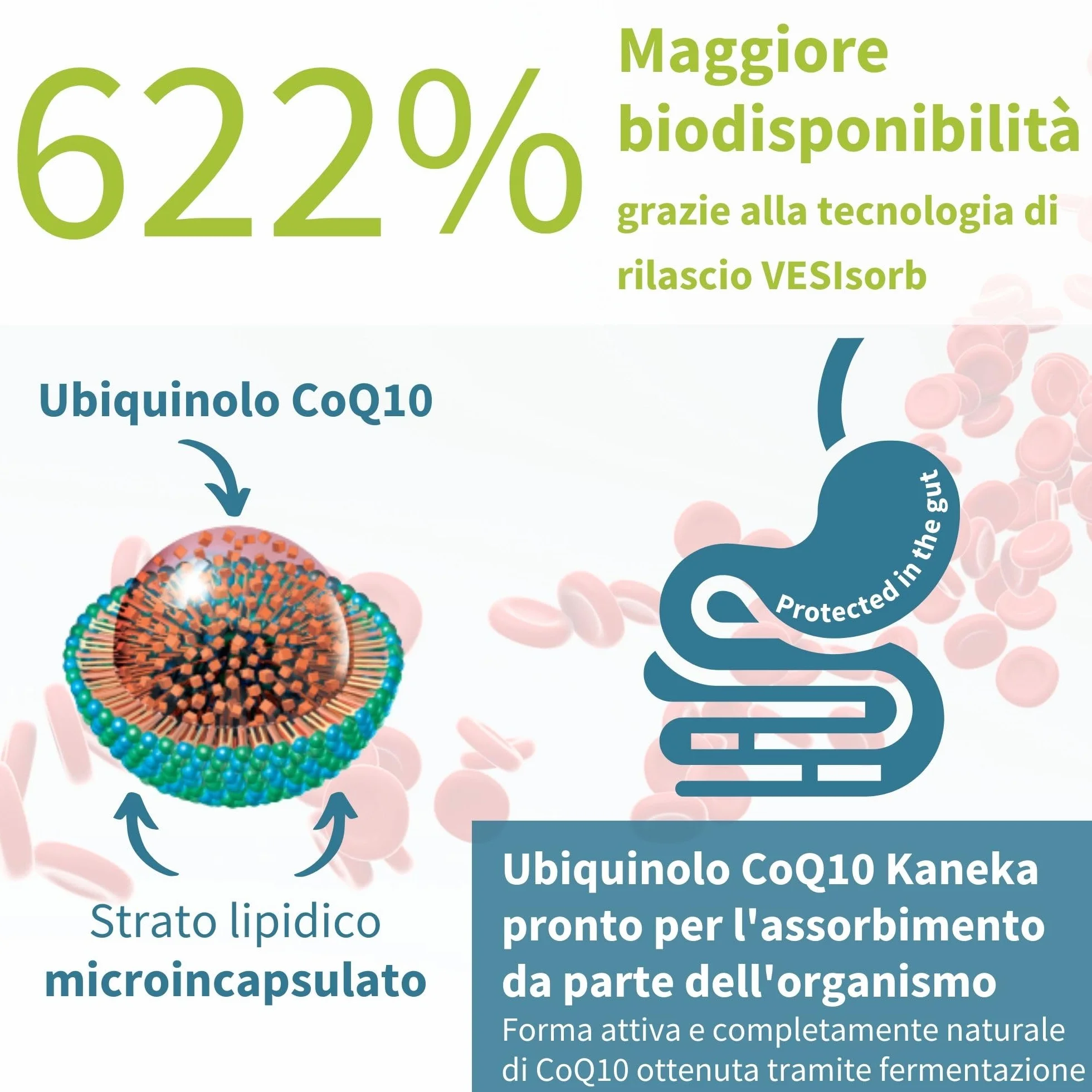 Igennus VESIsorb Ubiquinolo 100mg Kaneka Ubichinolo Coenzima Q10 Idrosolubile 30 Capsule