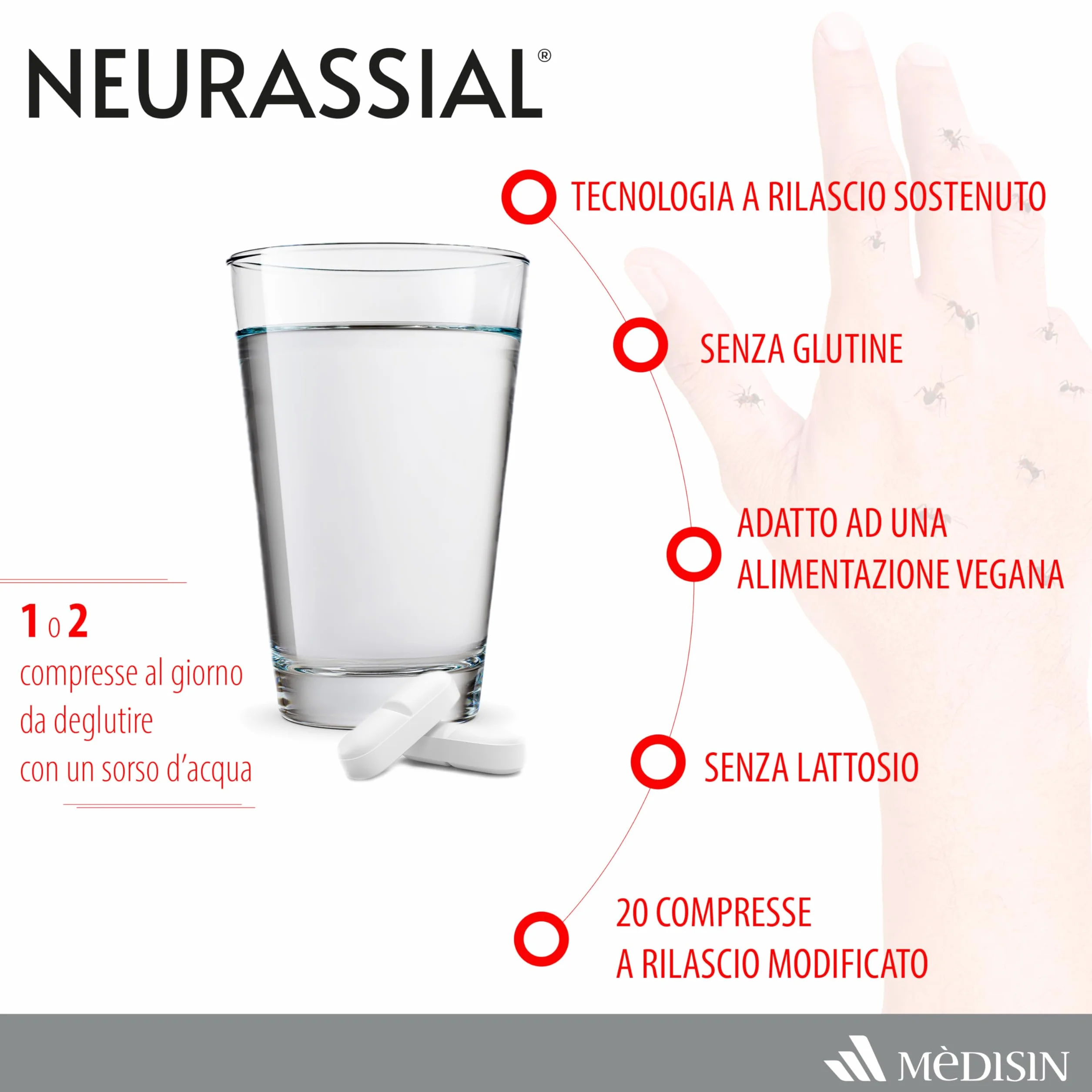 NEURASSIAL® Integratore Alimentare con Acido Alfa Lipoico, L-acetilcarnitina, Vitamine E e B6, 20 Compresse