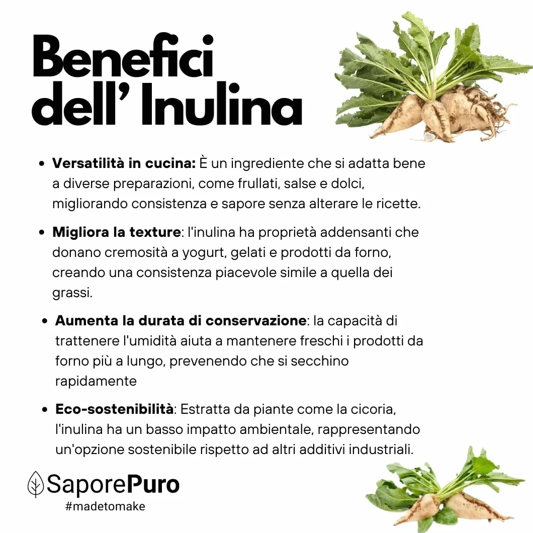 SaporePuro Inulina da cicoria 1 kg - Catena lunga - Fibra prebiotica da radici di cicoria