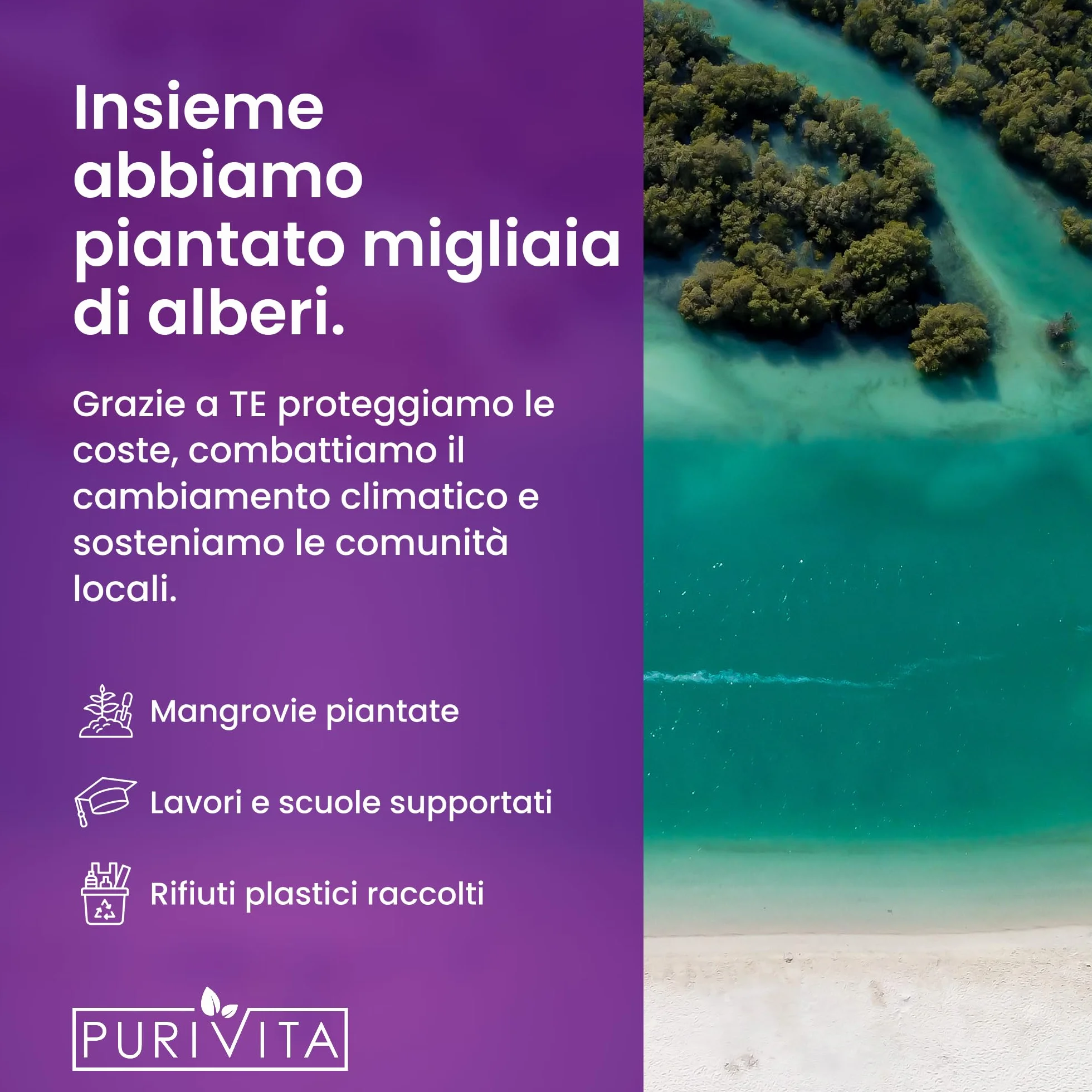 PURIVITA Detersivo Universale Concentrato Profumato 500ML Floor Cleaner All Purpose Cleaner