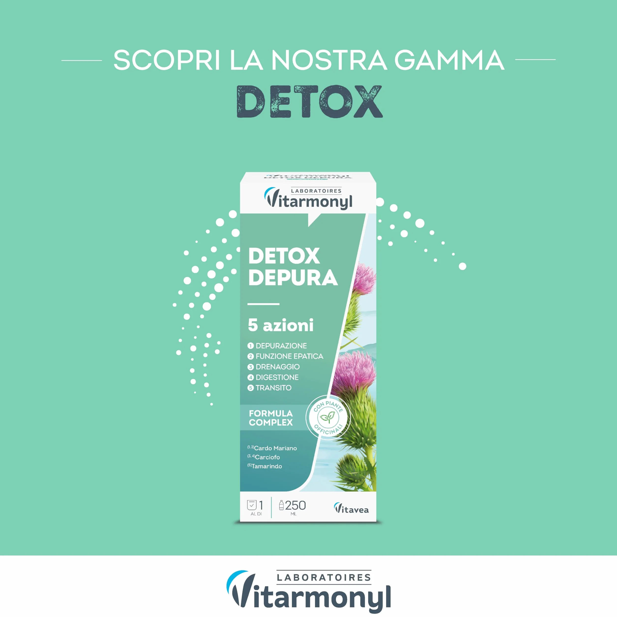 Vitarmonyl Total Detox 24H Drenante Forte Depurativo Fegato e Intestino 30 Capsule