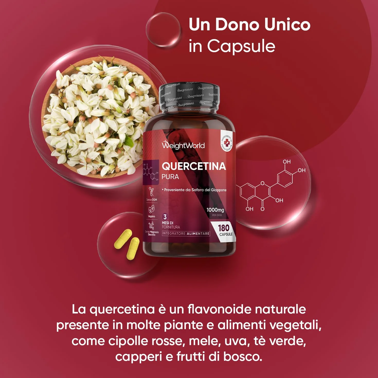 Quercetina 1000mg Pura Vegana 180 Capsule Integratore Flavonoidi Sophora Japonica