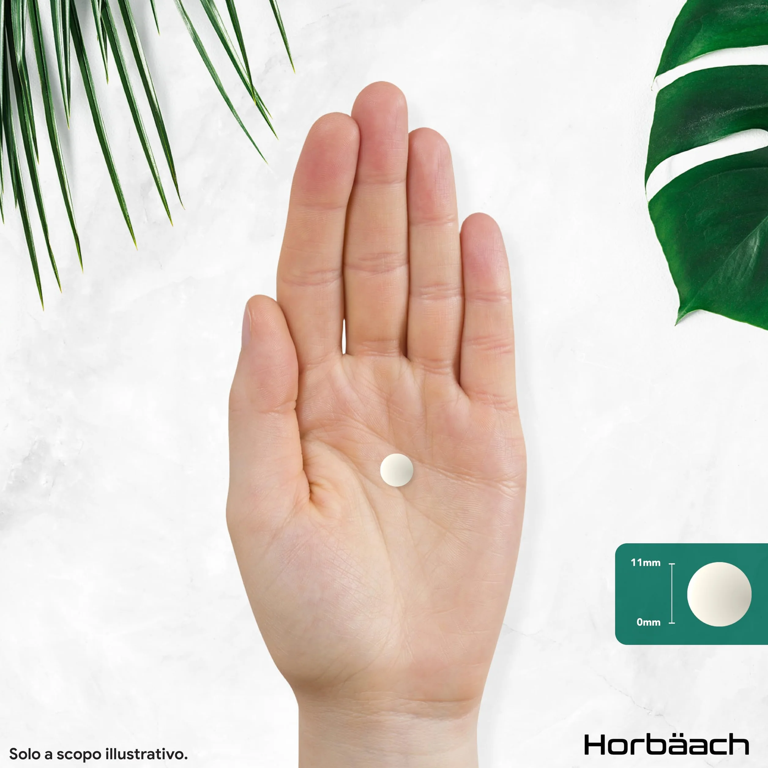 Horbaach Probiotici Orali 60 Compresse Masticabili Vegane Sapore Menta Integratore Alitosi Lactobacillus Acidophilus Reuteri 6 Miliardi CFU