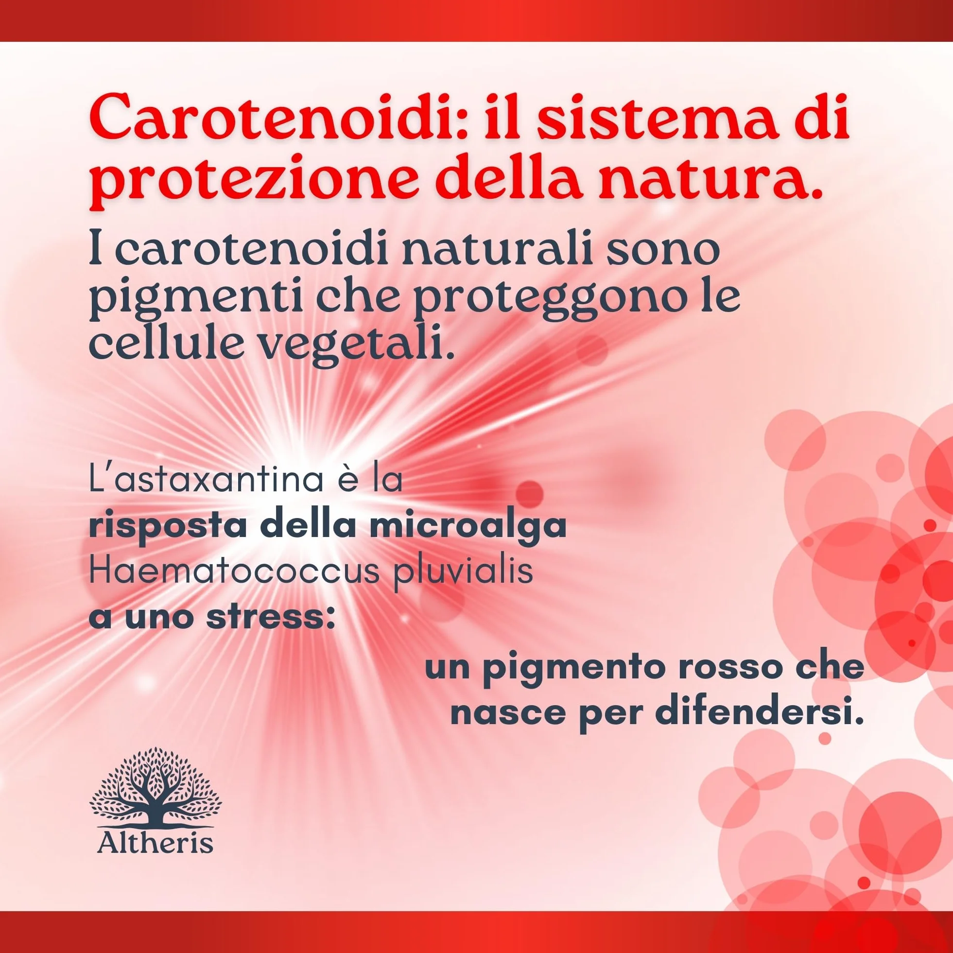 Astaxantina Pura Alto Dosaggio 18mg 270 Capsule Integratore Carotenoidi Naturali Alga Haematococcus Pluvialis